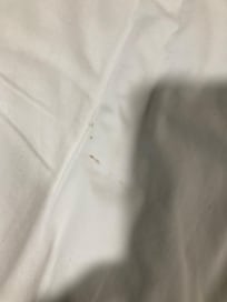 Bugs on sheets