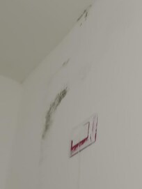 Mould in bathroom