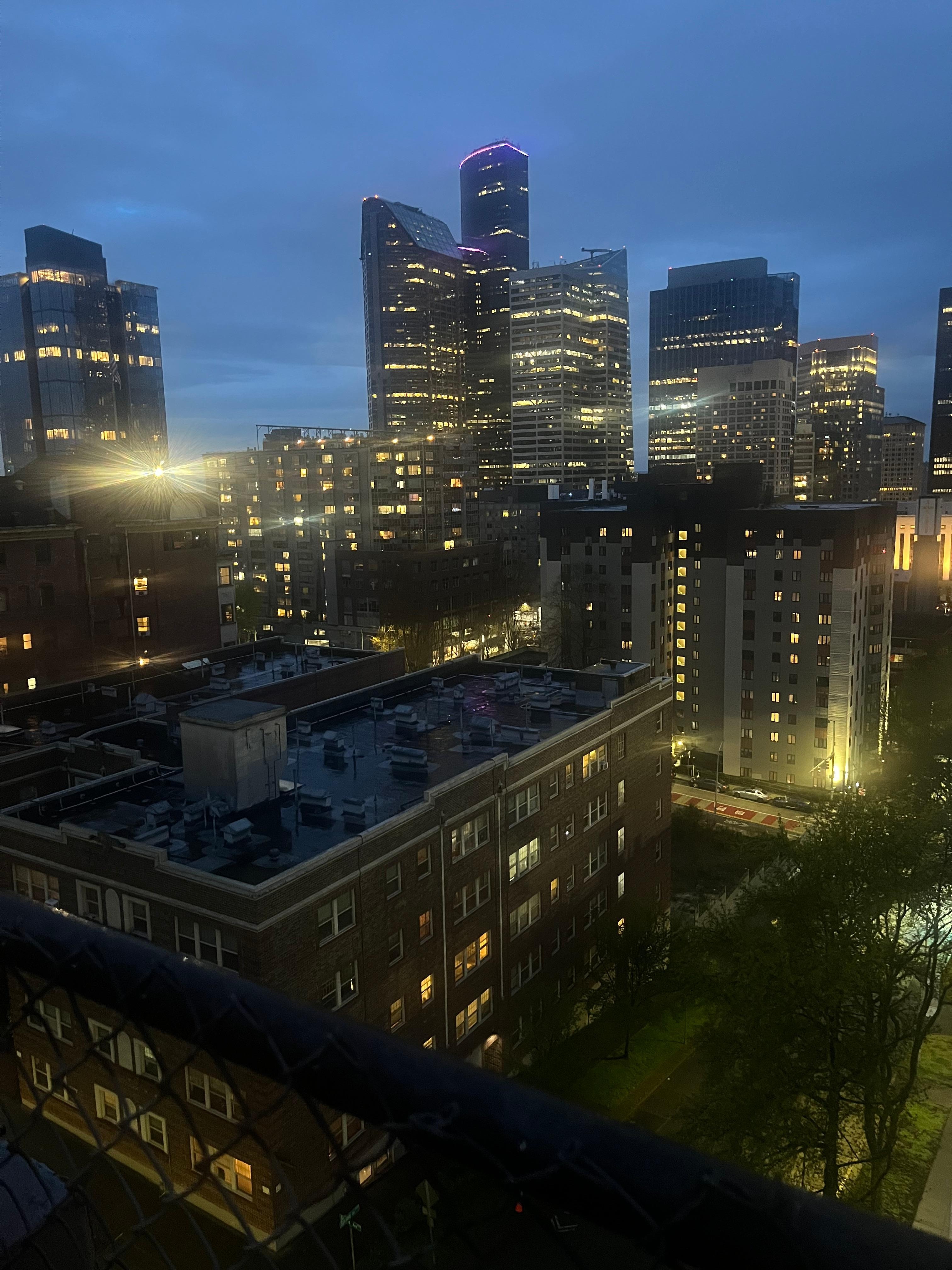 View from rooftop “garden”. 