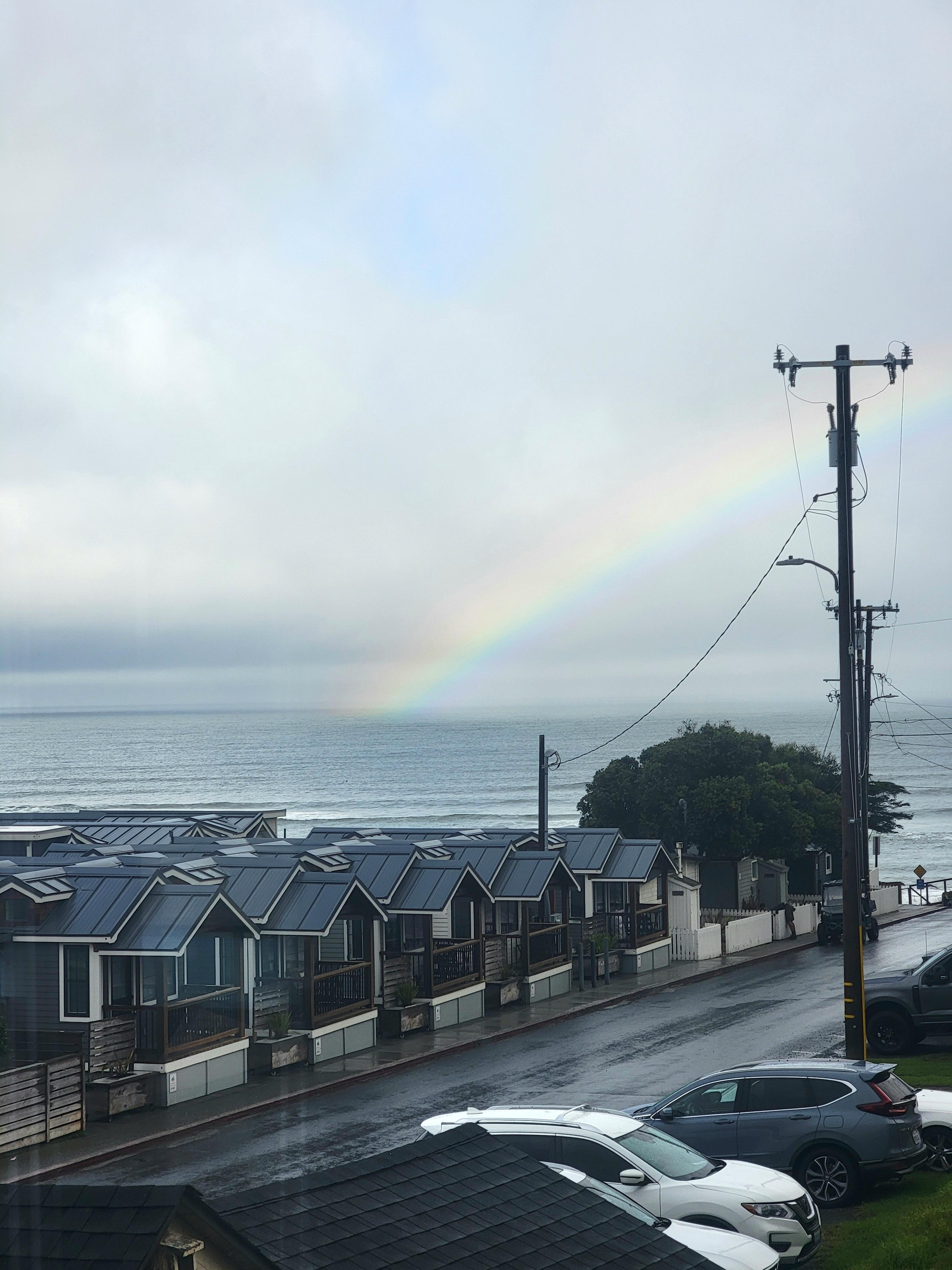 View from the main living area one morning.