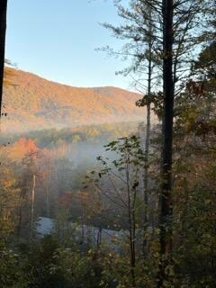 View from the deck, the hottub, and living room window. 