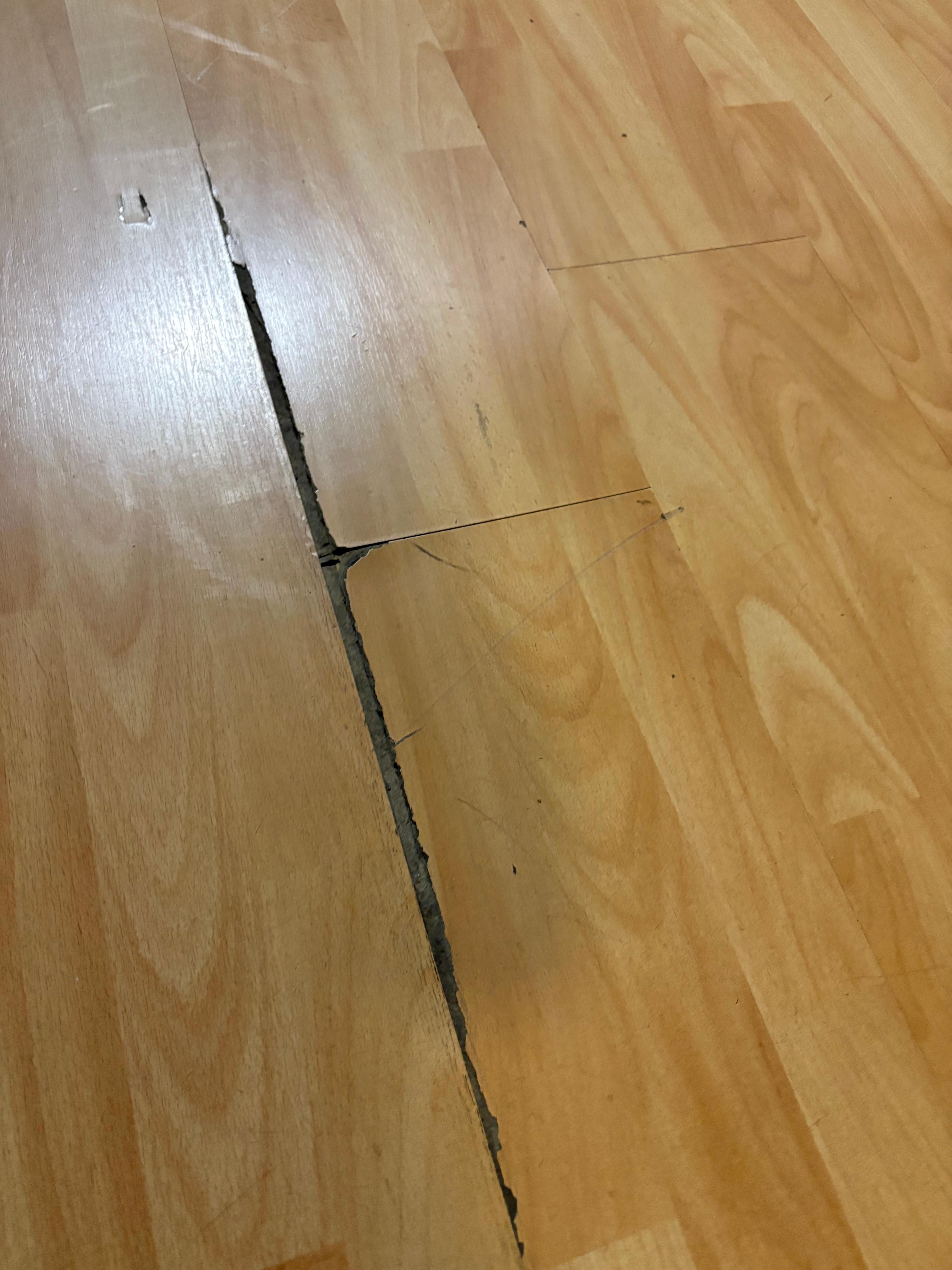 Cheap laminate floor totally worn out throughout 