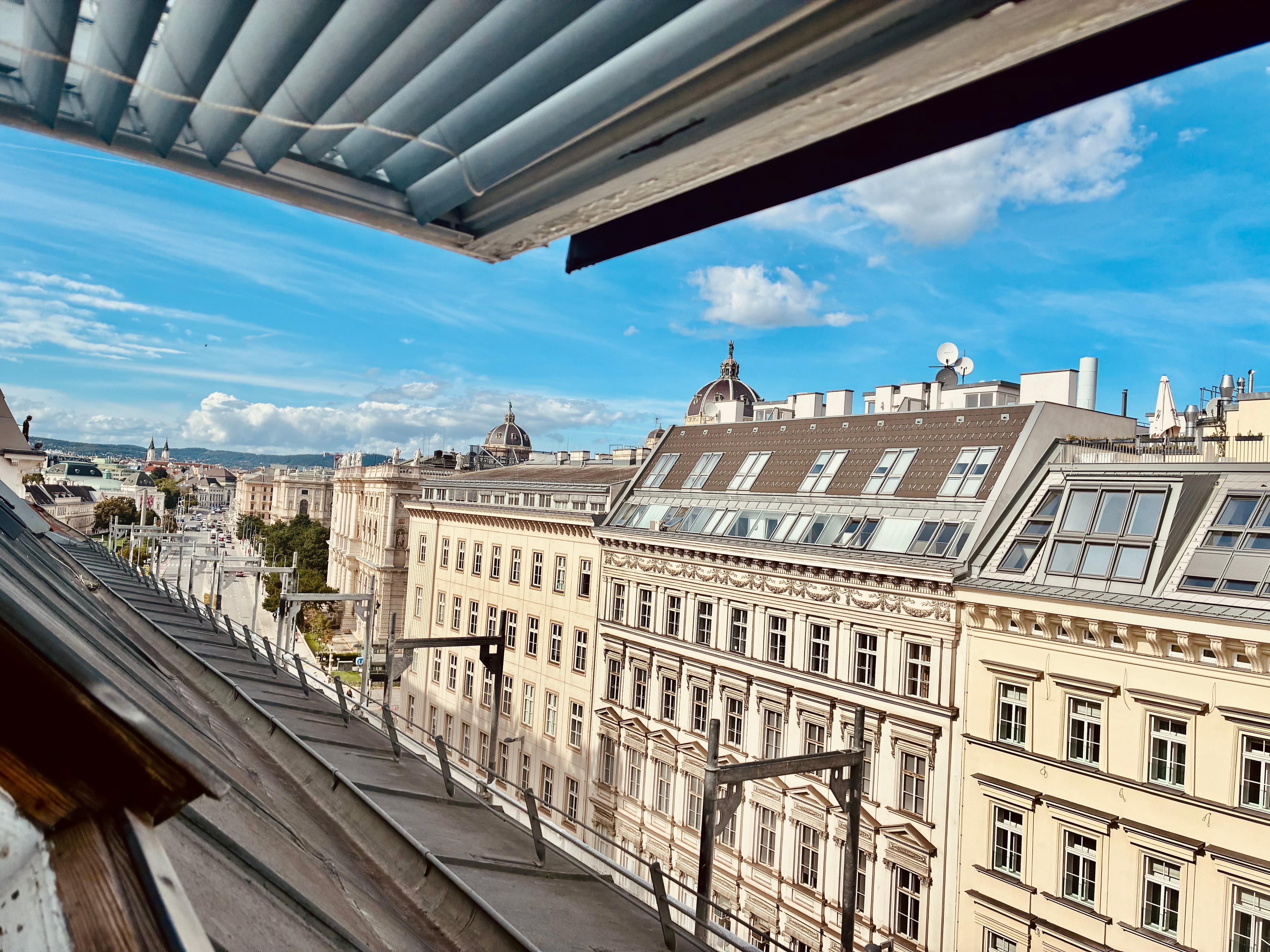 View out the skylight