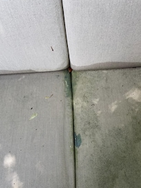 Moldy cushion on main upper patio.