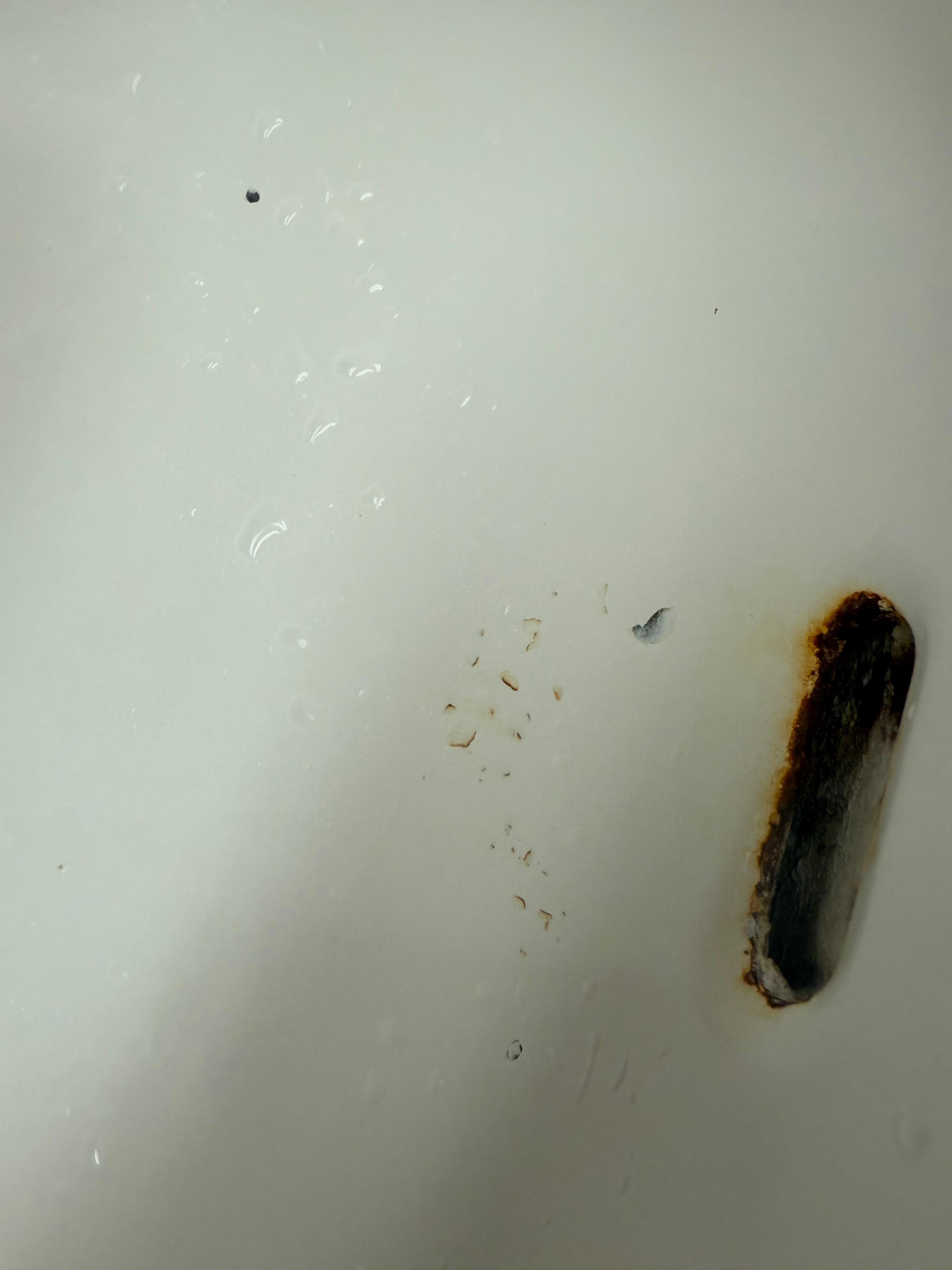 Bathroom sink, rust, hair and stains 