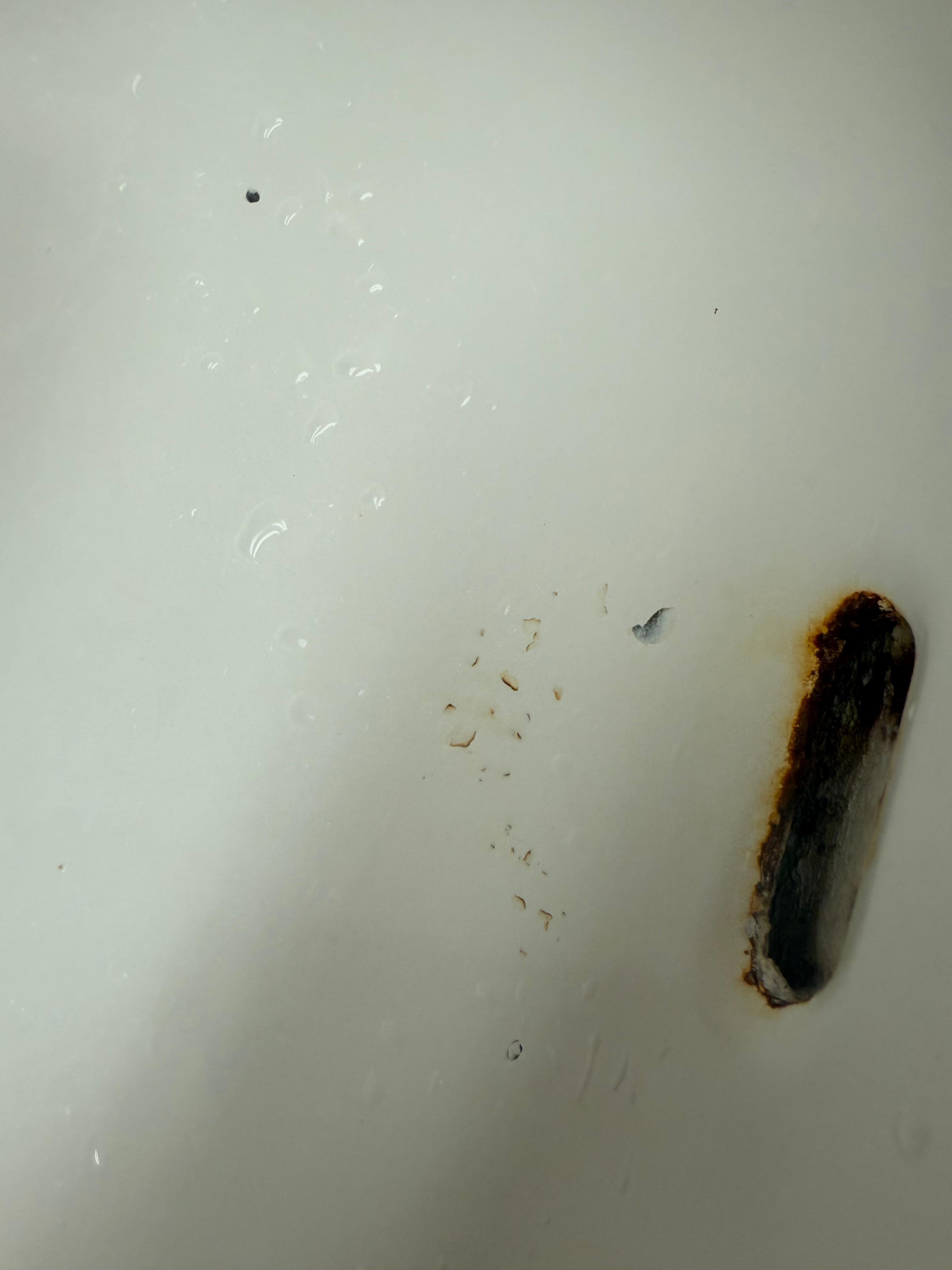 Bathroom sink, rust, hair and stains