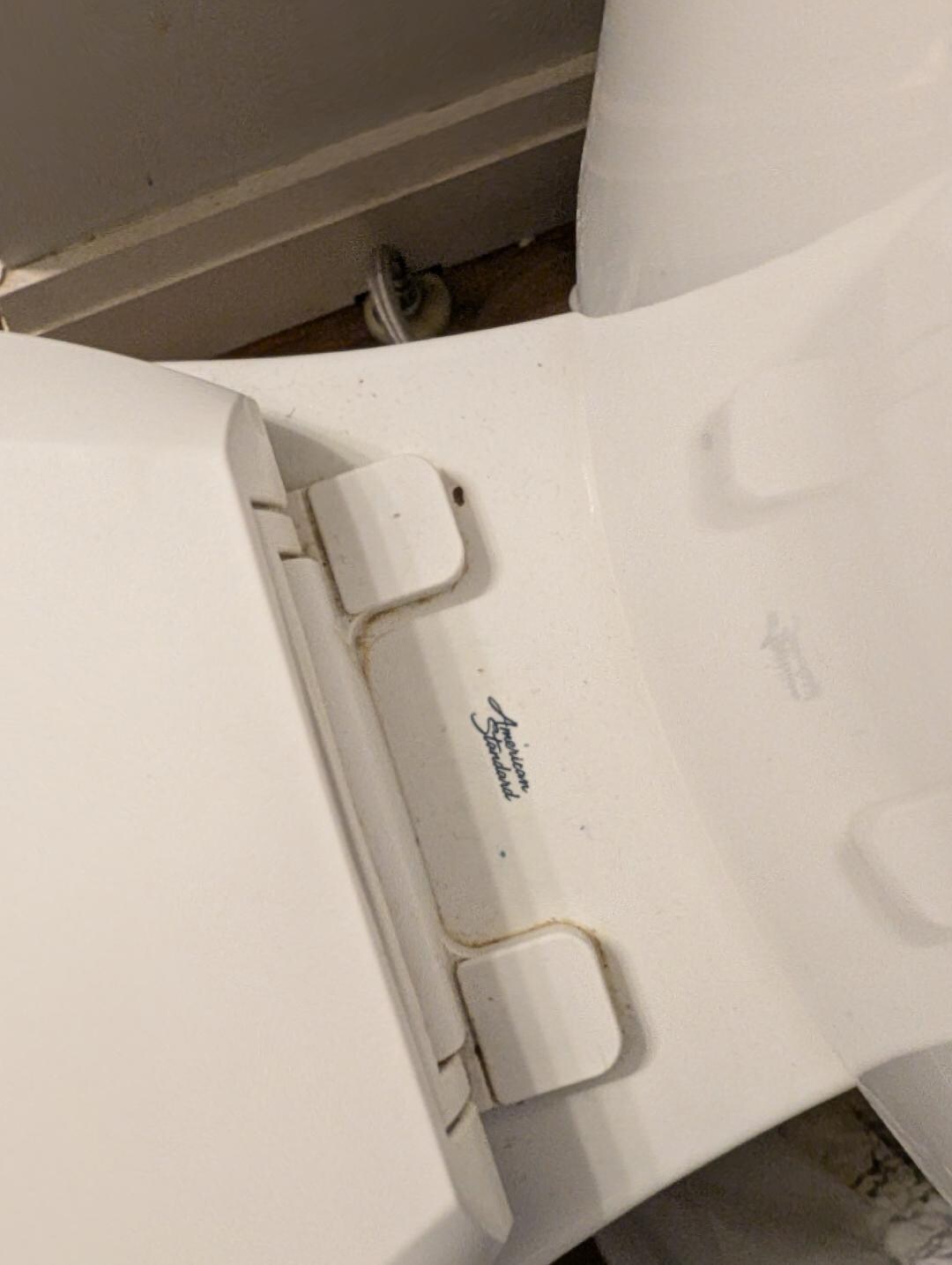 Filthy Toilet. Zoom in to see better.