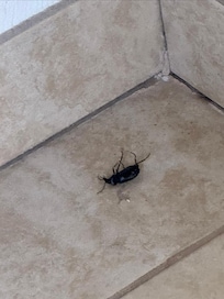 Unwanted roommate