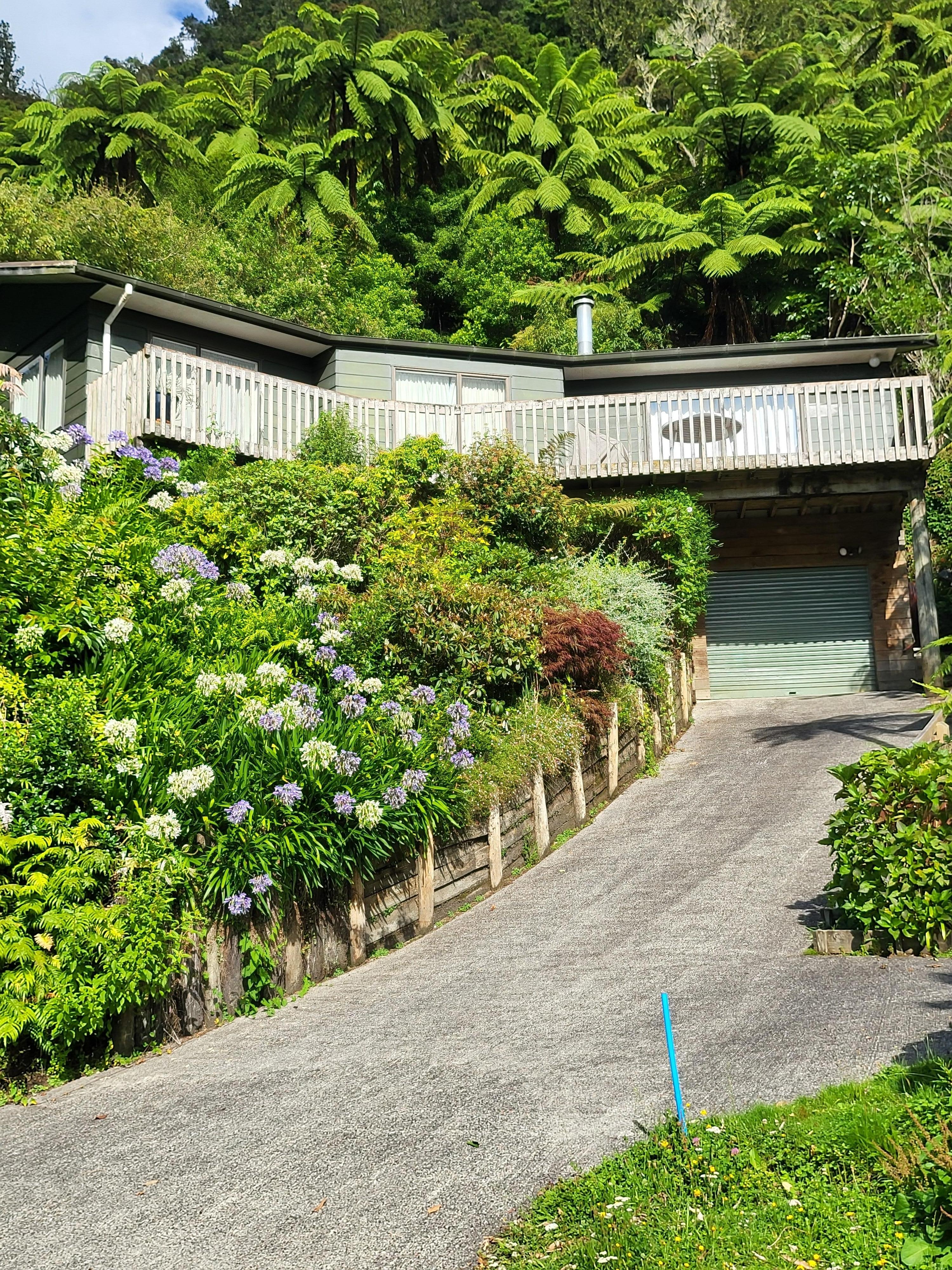 Looking out over the lake.