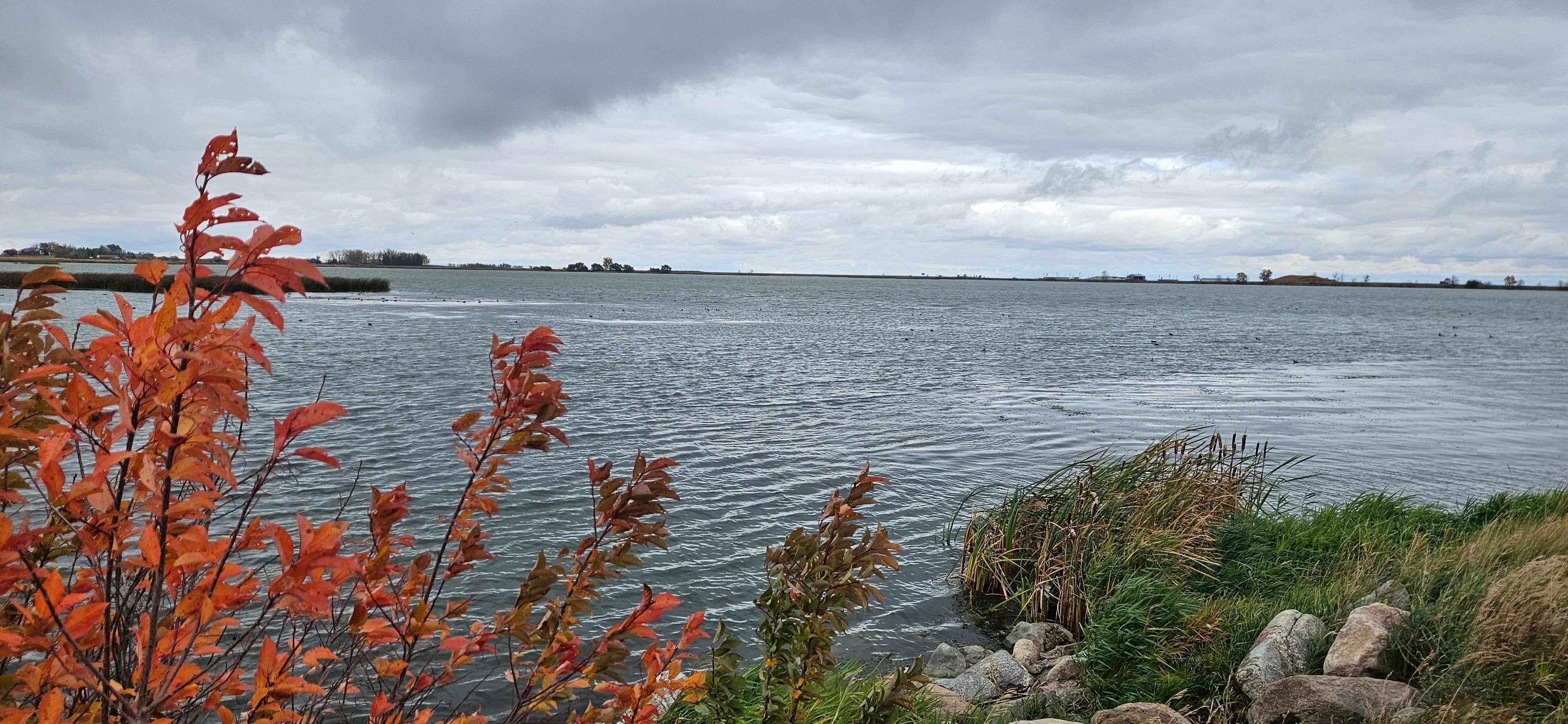 Walk along the wild side