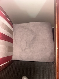 Nasty dining chair, many bugs found in crevices