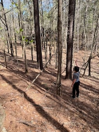 Exploring the woods around the cabin