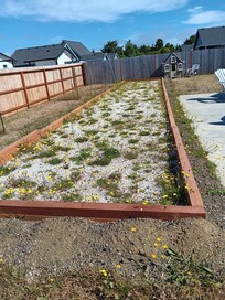 Bocci ball court
