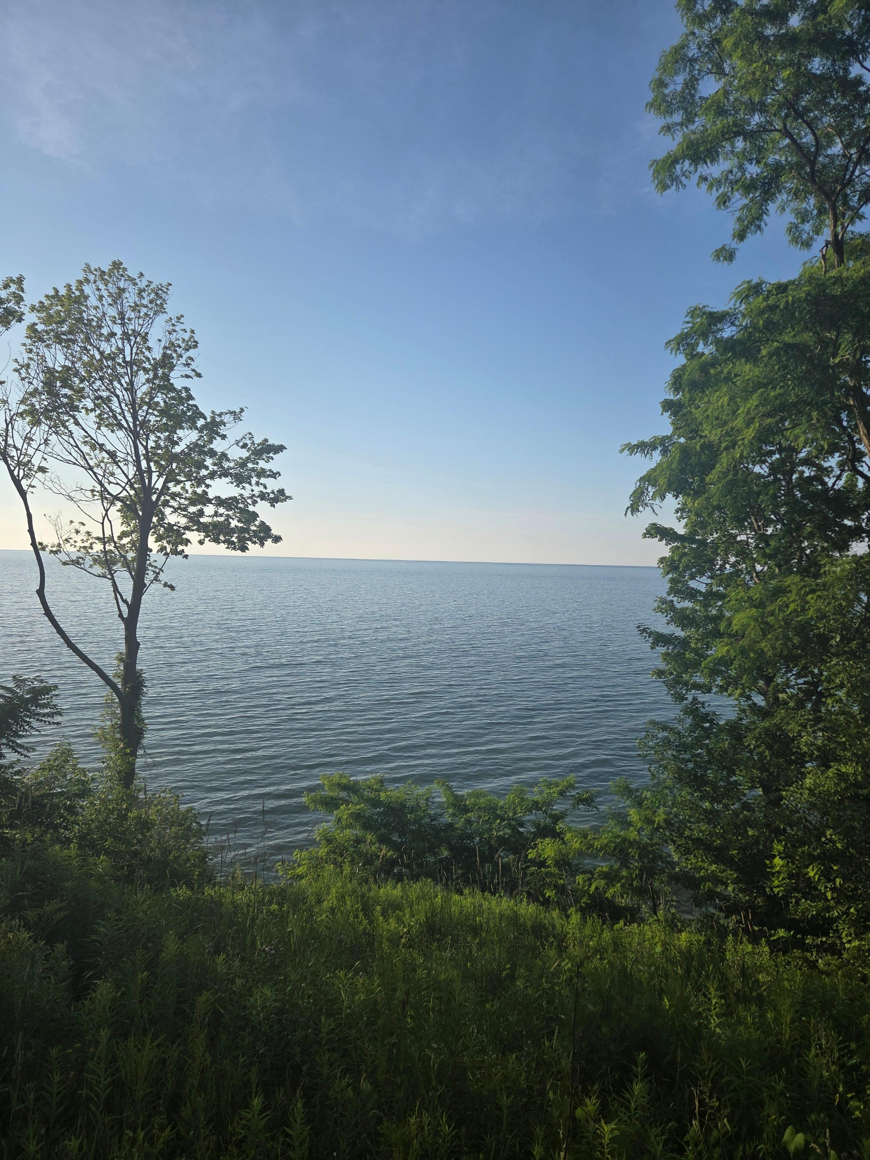 the view from the overlook deck