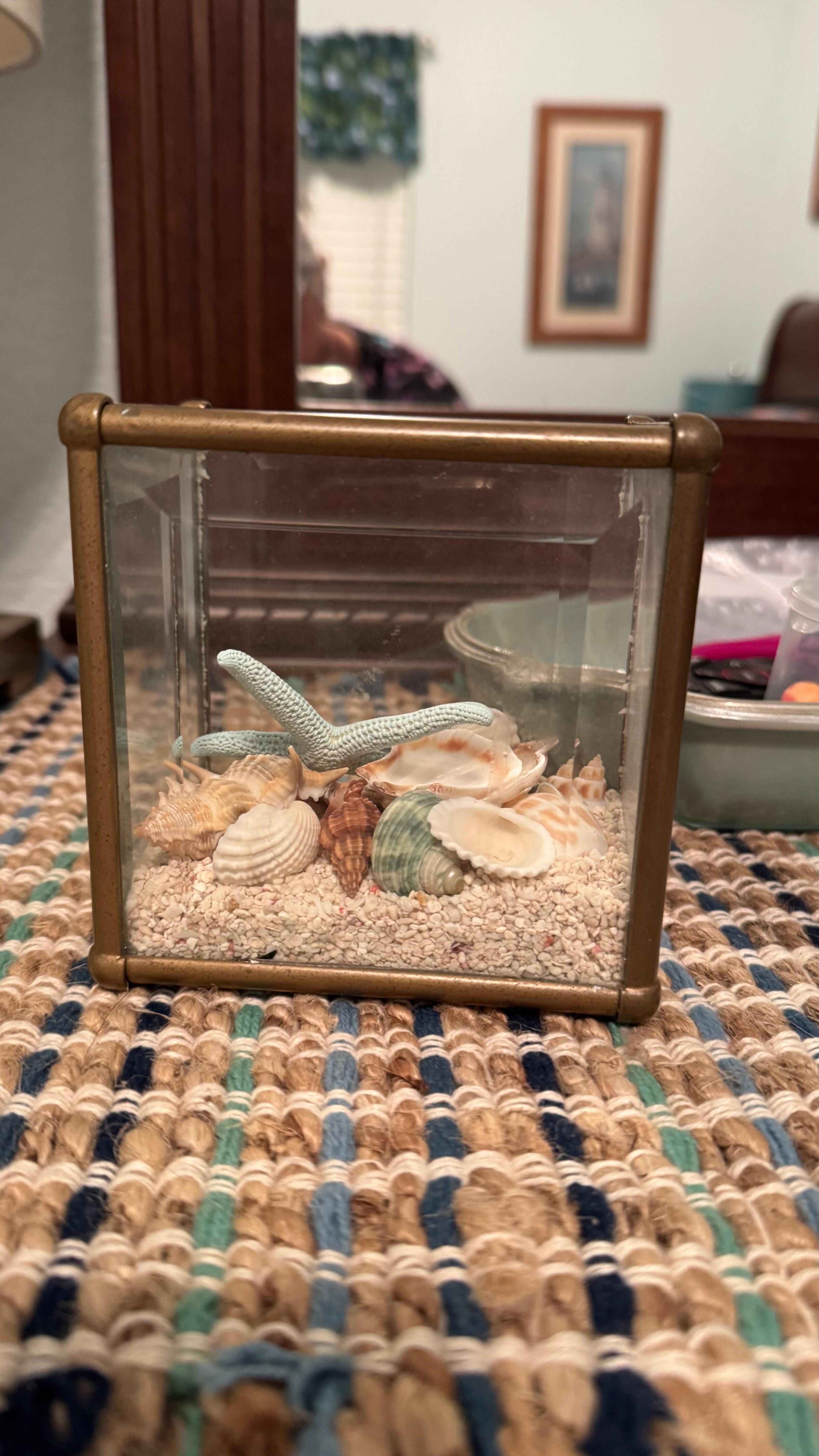 Great beach finds