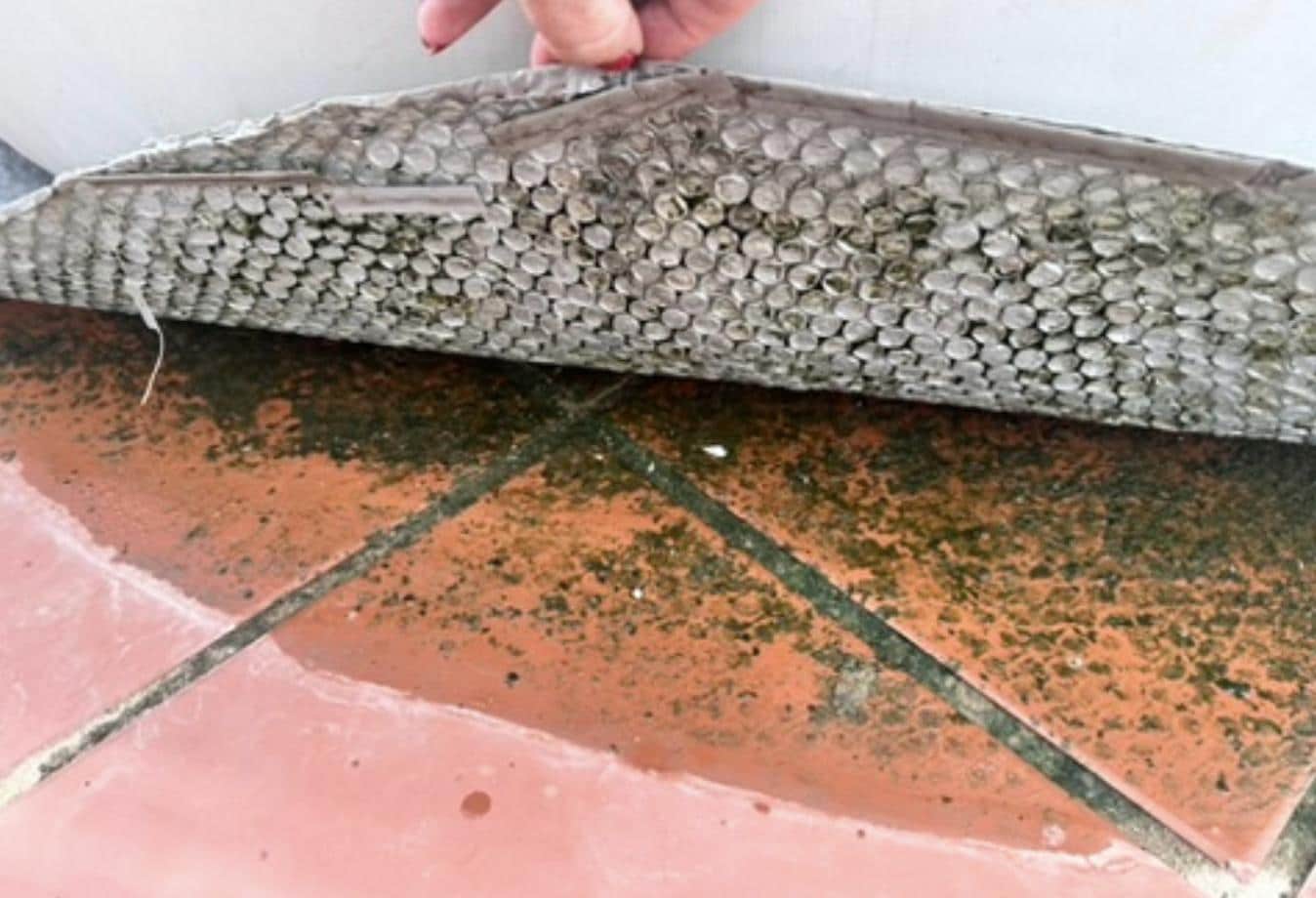 Mögel luktade verkligen illa från jacuzzin