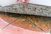 Mögel luktade verkligen illa frÄn jacuzzin