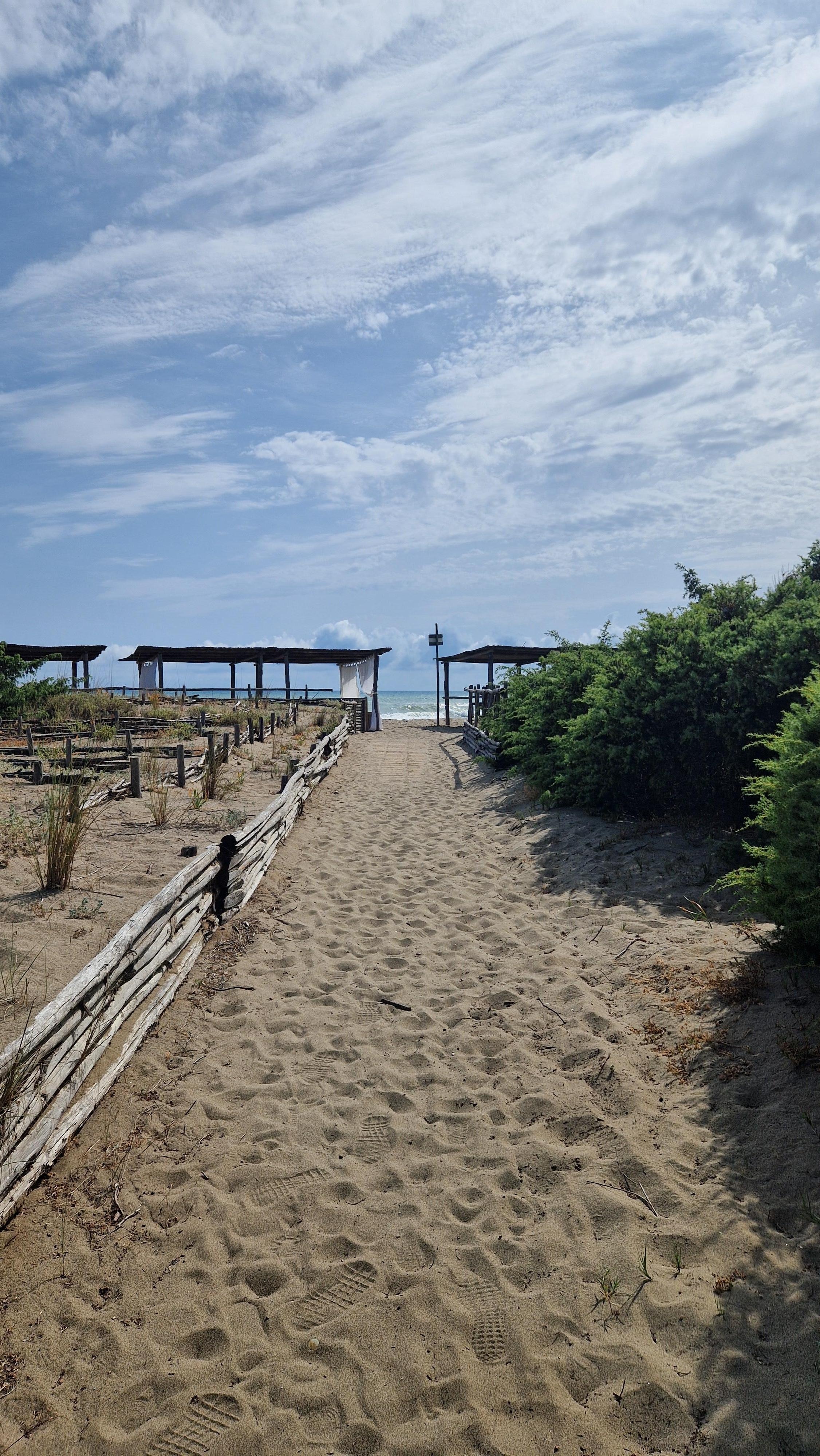 Daily walk to the beach