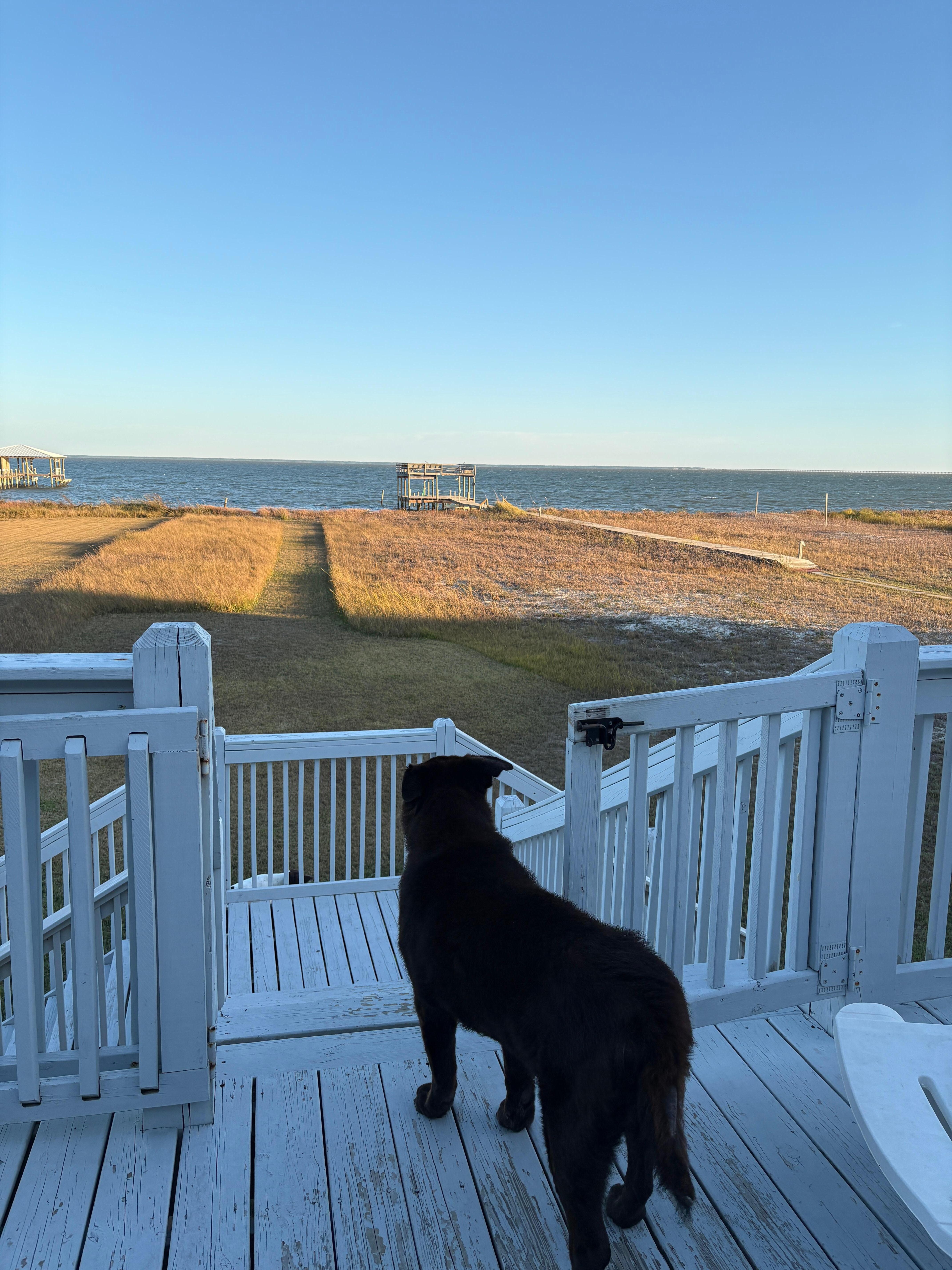 View of the sound from lower back deck. 
