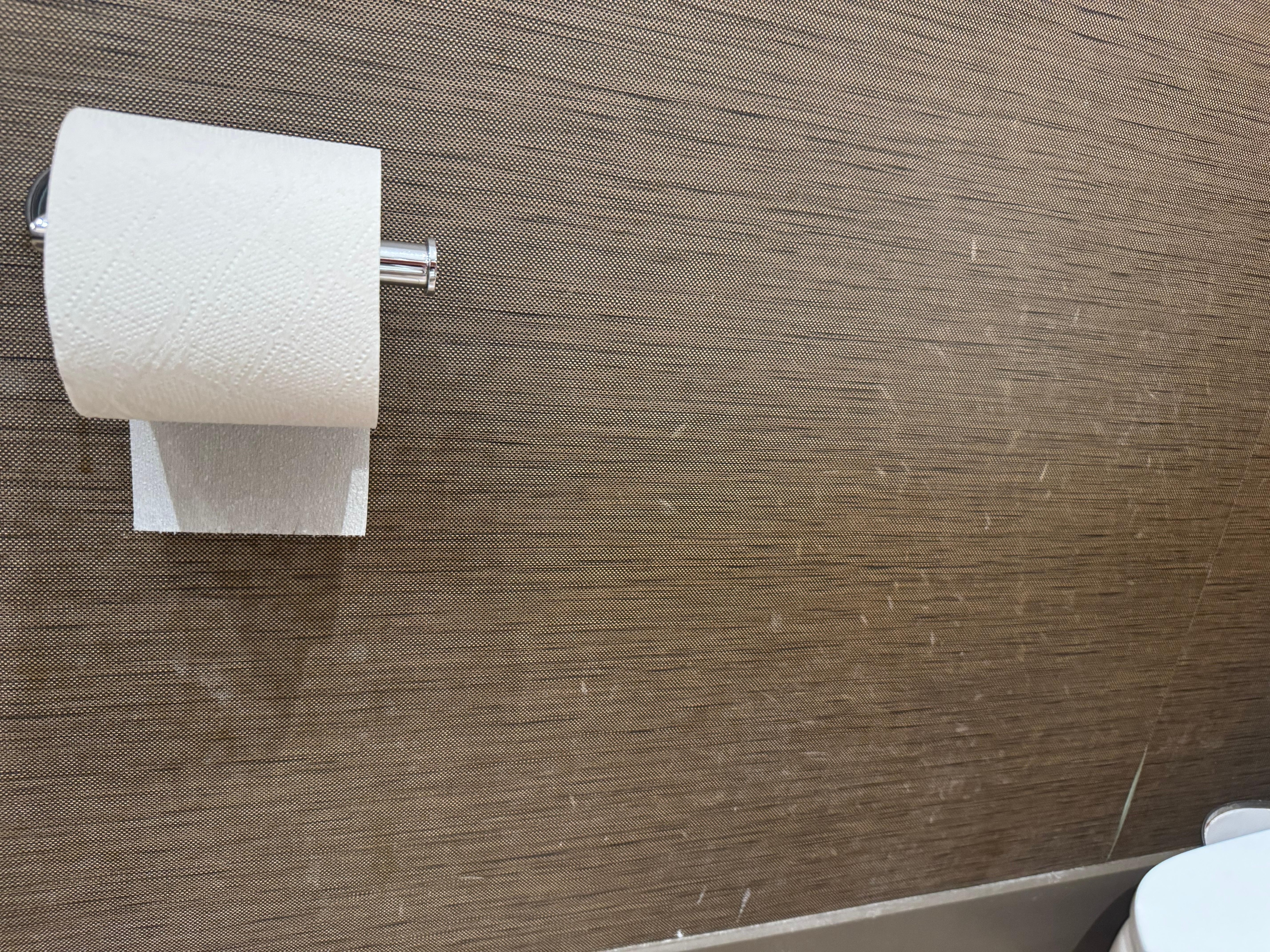 Damage all up the bathroom walls 