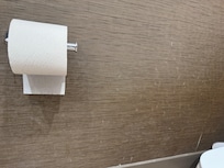 Damage all up the bathroom walls