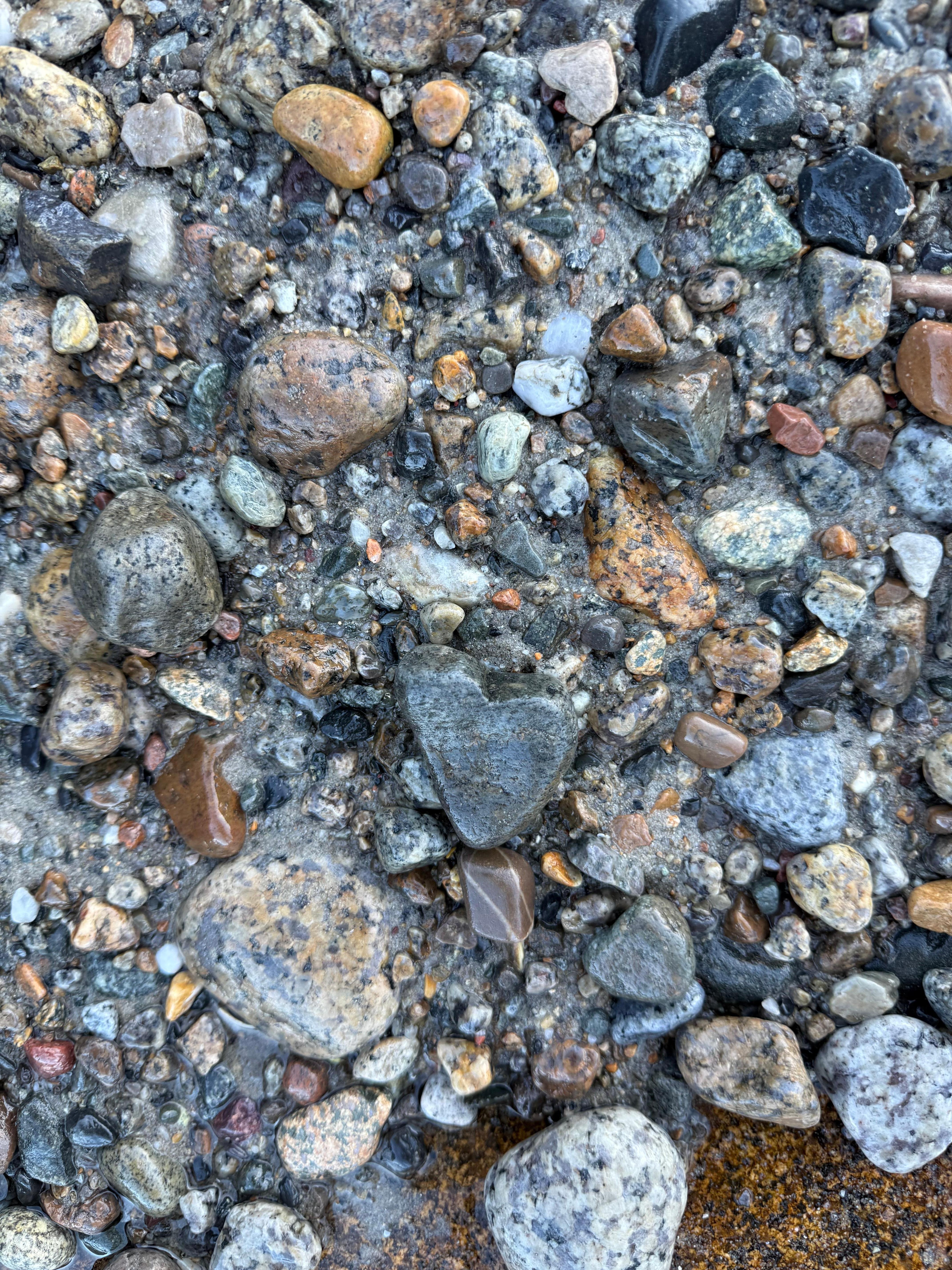 Rocky beach. Found a few heart rocks and sea glass 