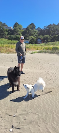 Dogs loved it