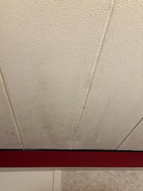 Water damage on ceiling.