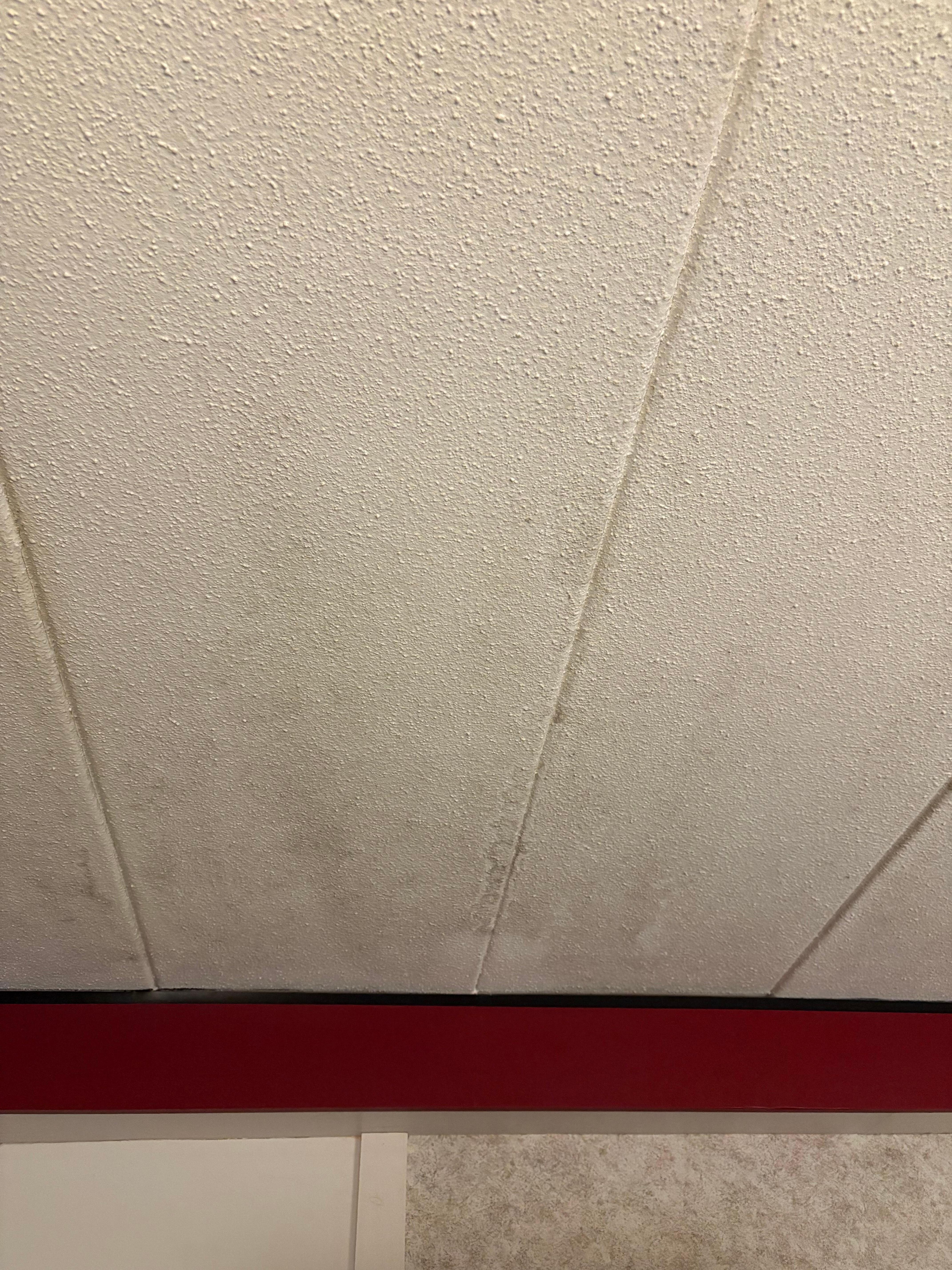 Water damage on ceiling. 