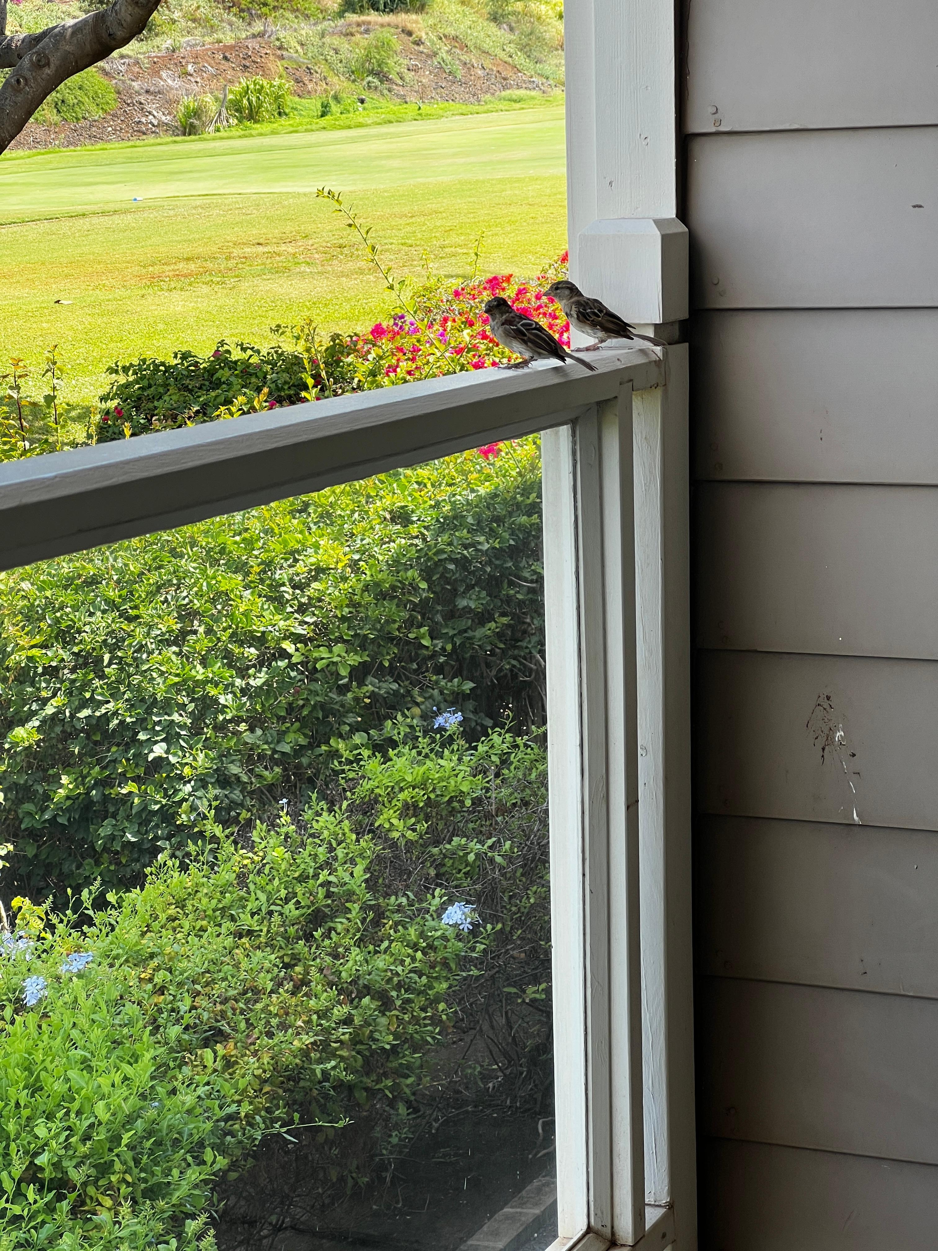 perfectly polite neighbors