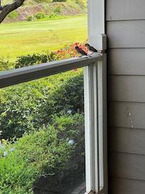 perfectly polite neighbors