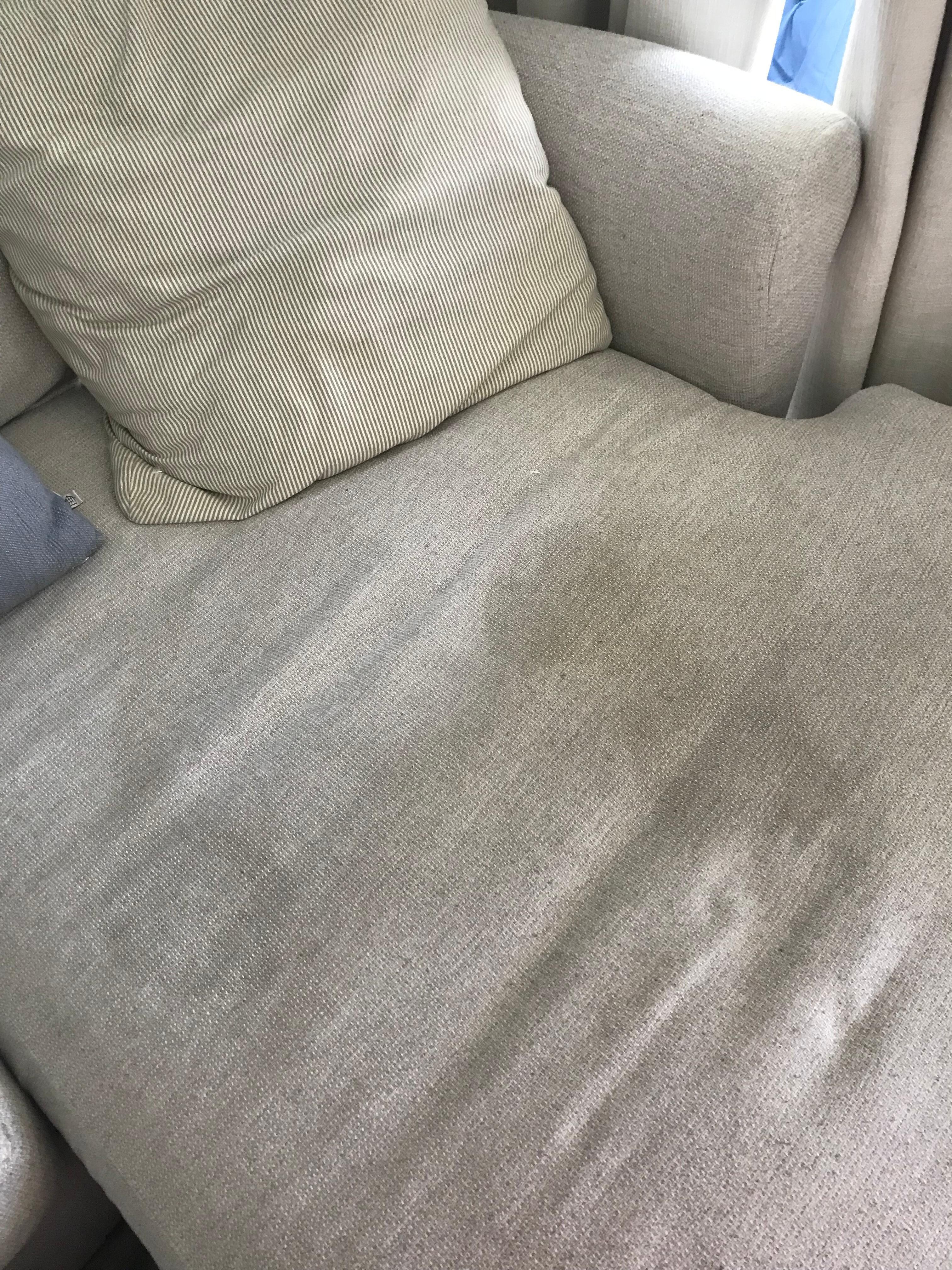 Living room furniture soiled and smelled like vomit