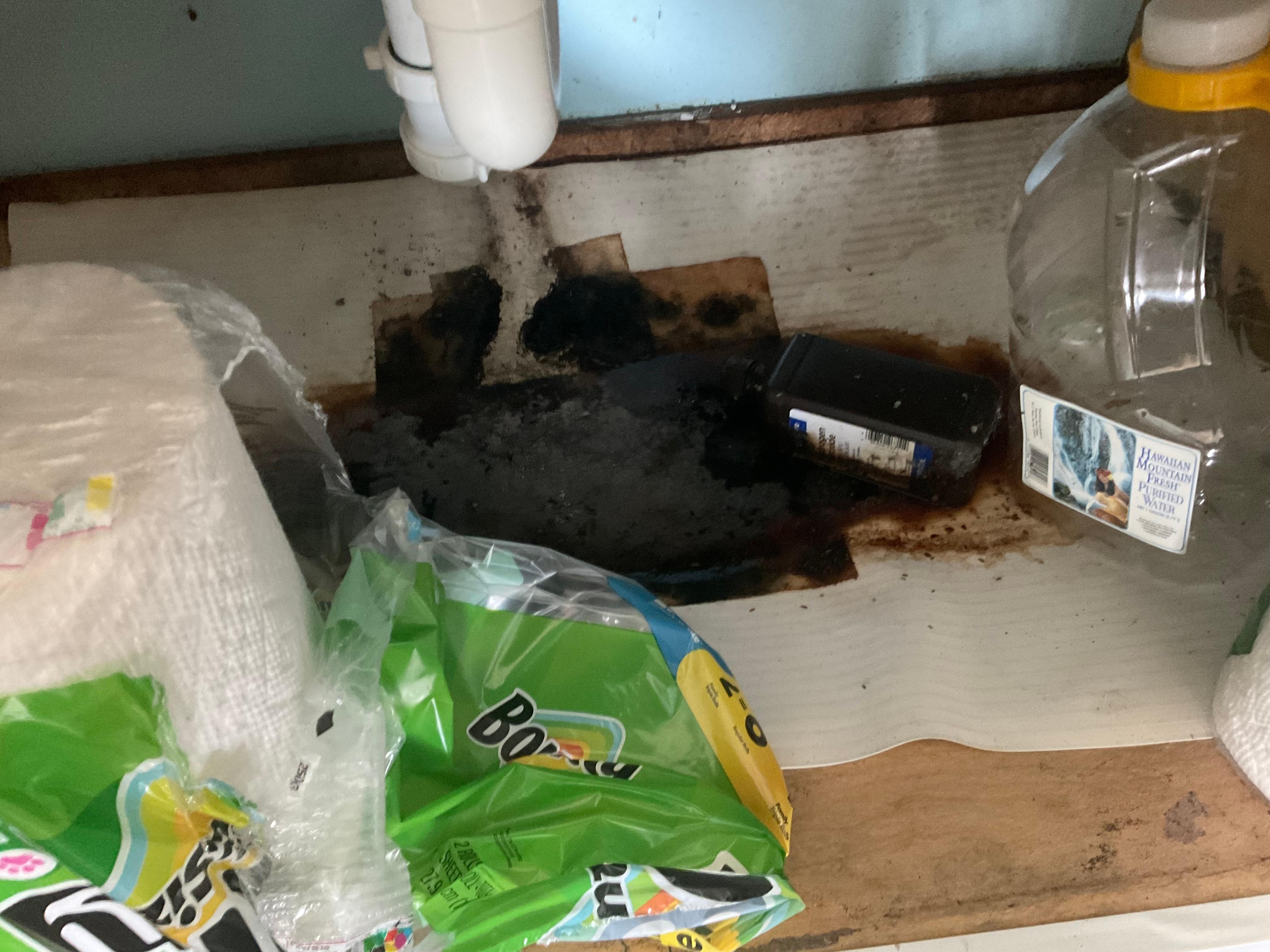 Under the kitchen sink cupboard