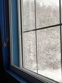 It snowed in the early morning hours and was so pretty!