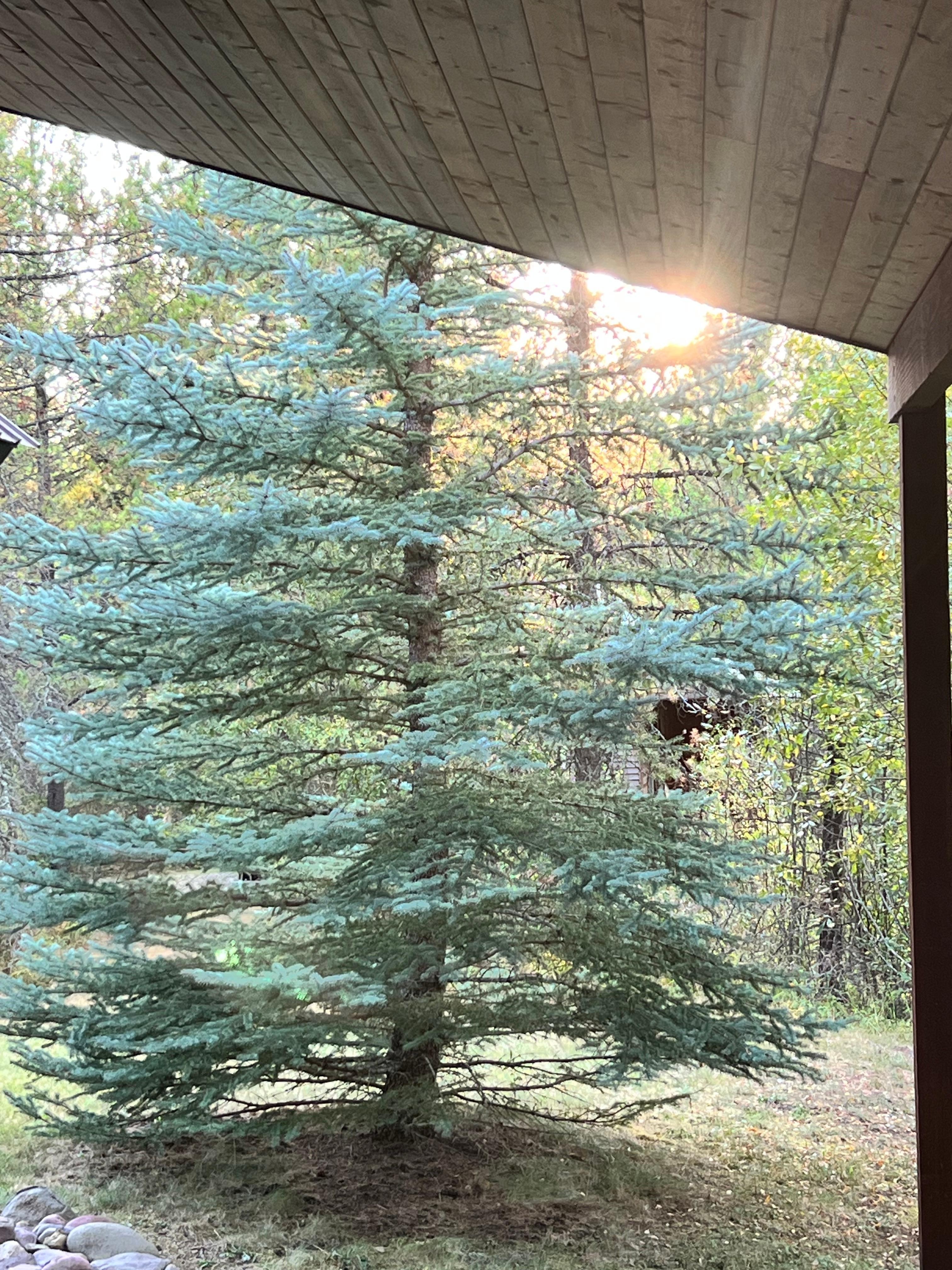 Just relaxing on the deck. 