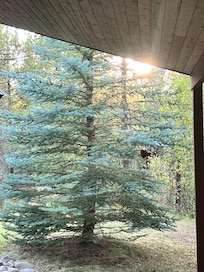 Just relaxing on the deck.