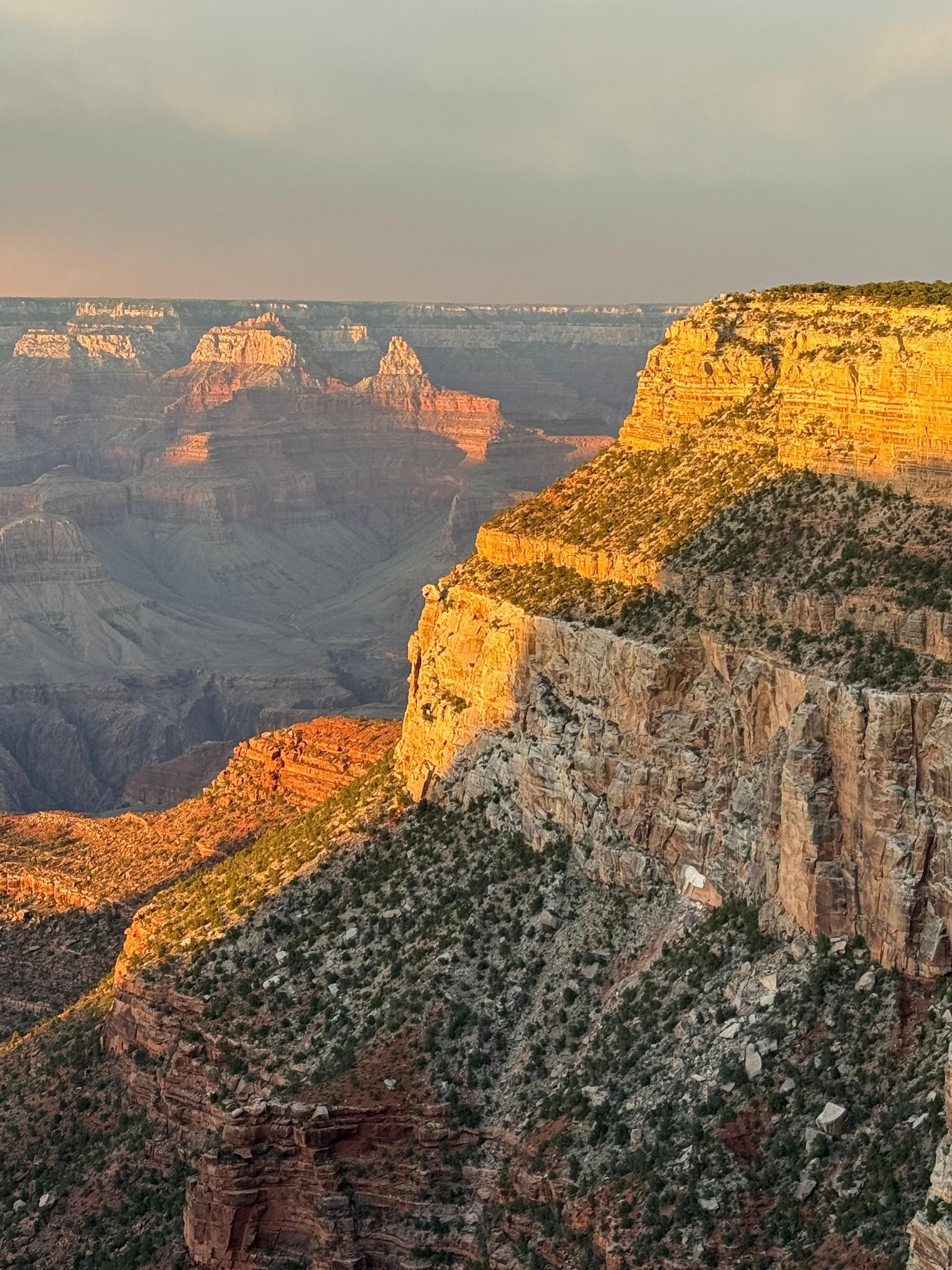 Grand Canyon vista