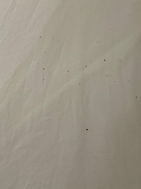 Bed sheet with black specs