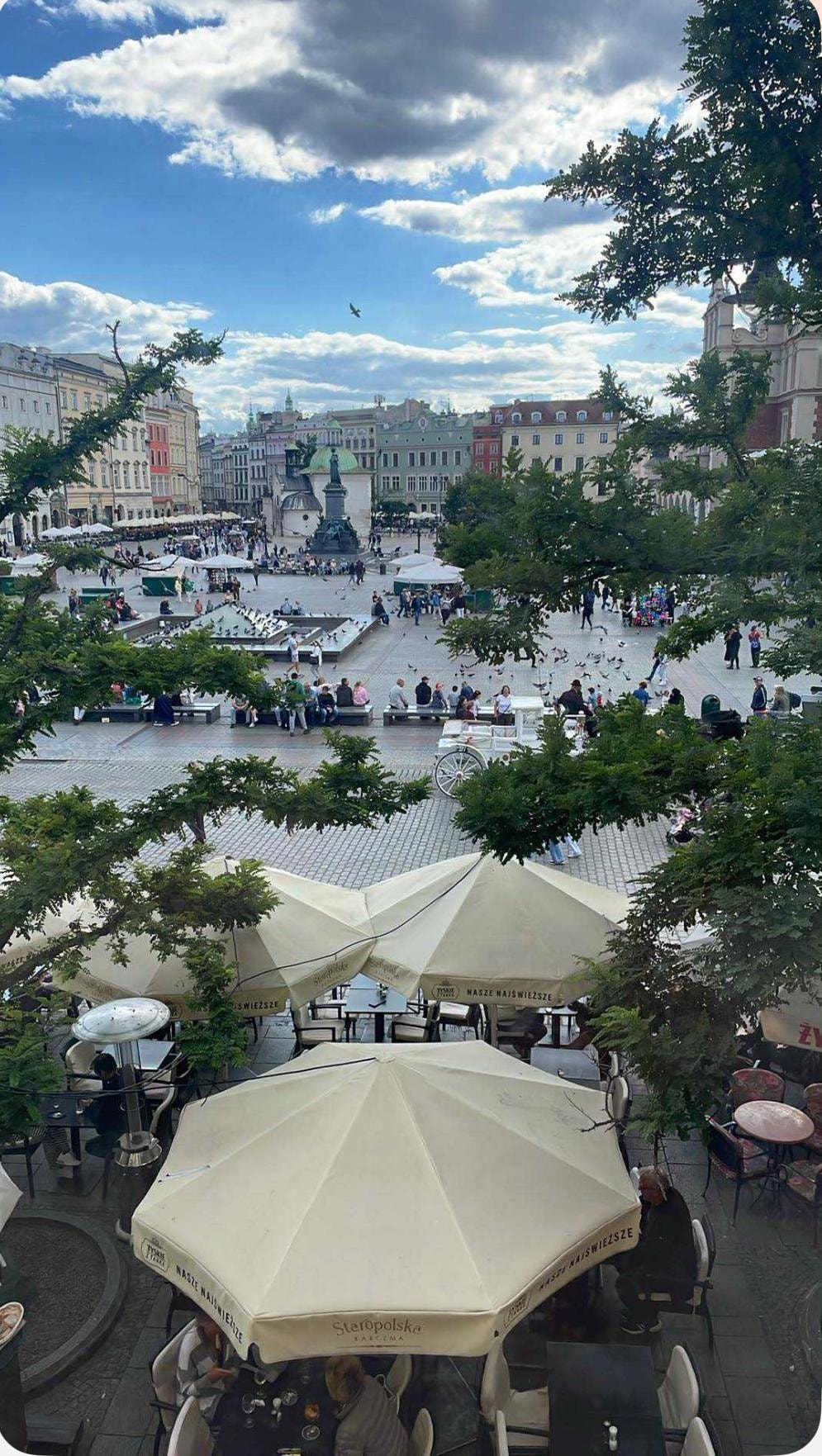 The view from my room