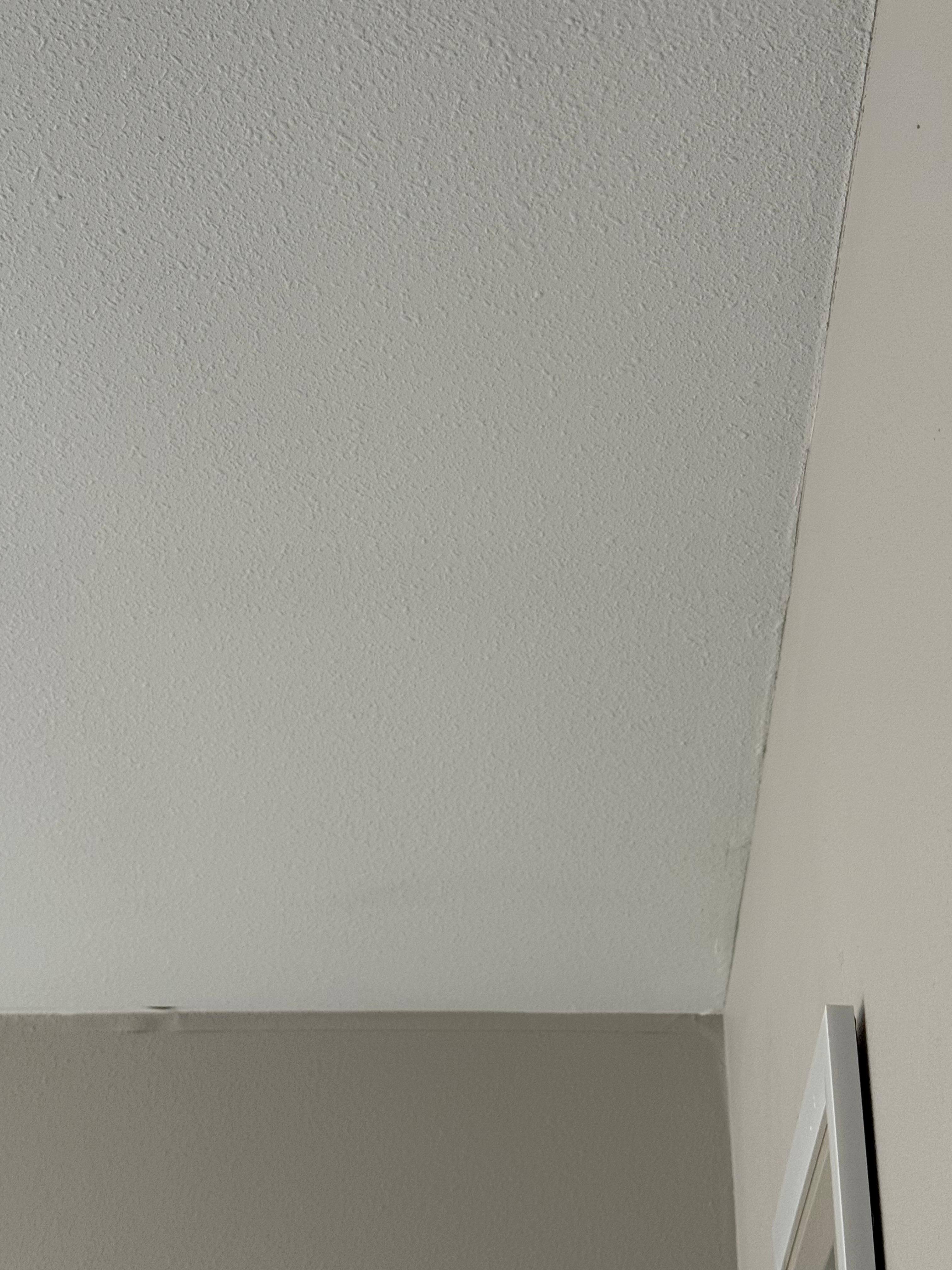 Ceiling damage 