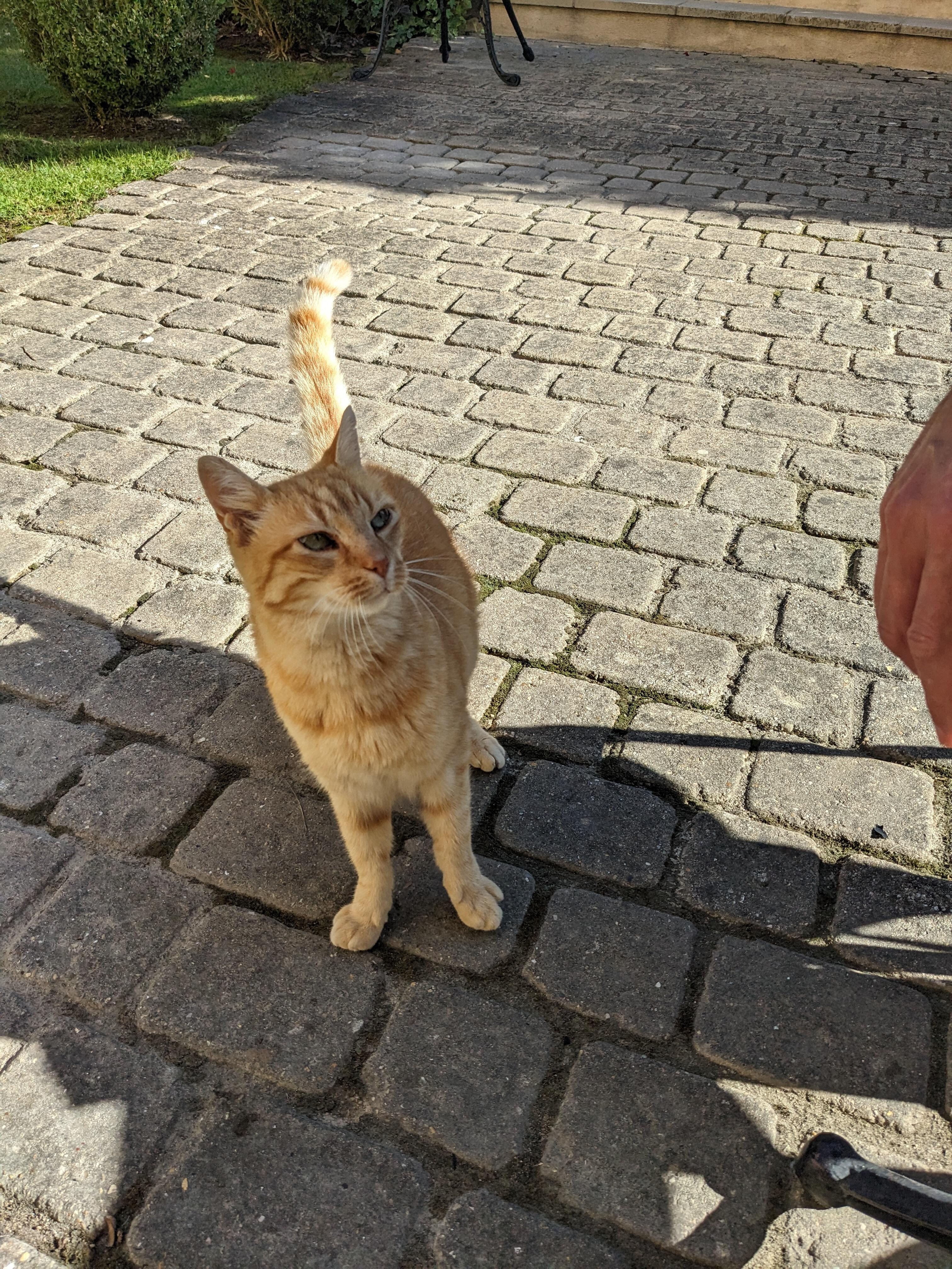 You might make a new friend.