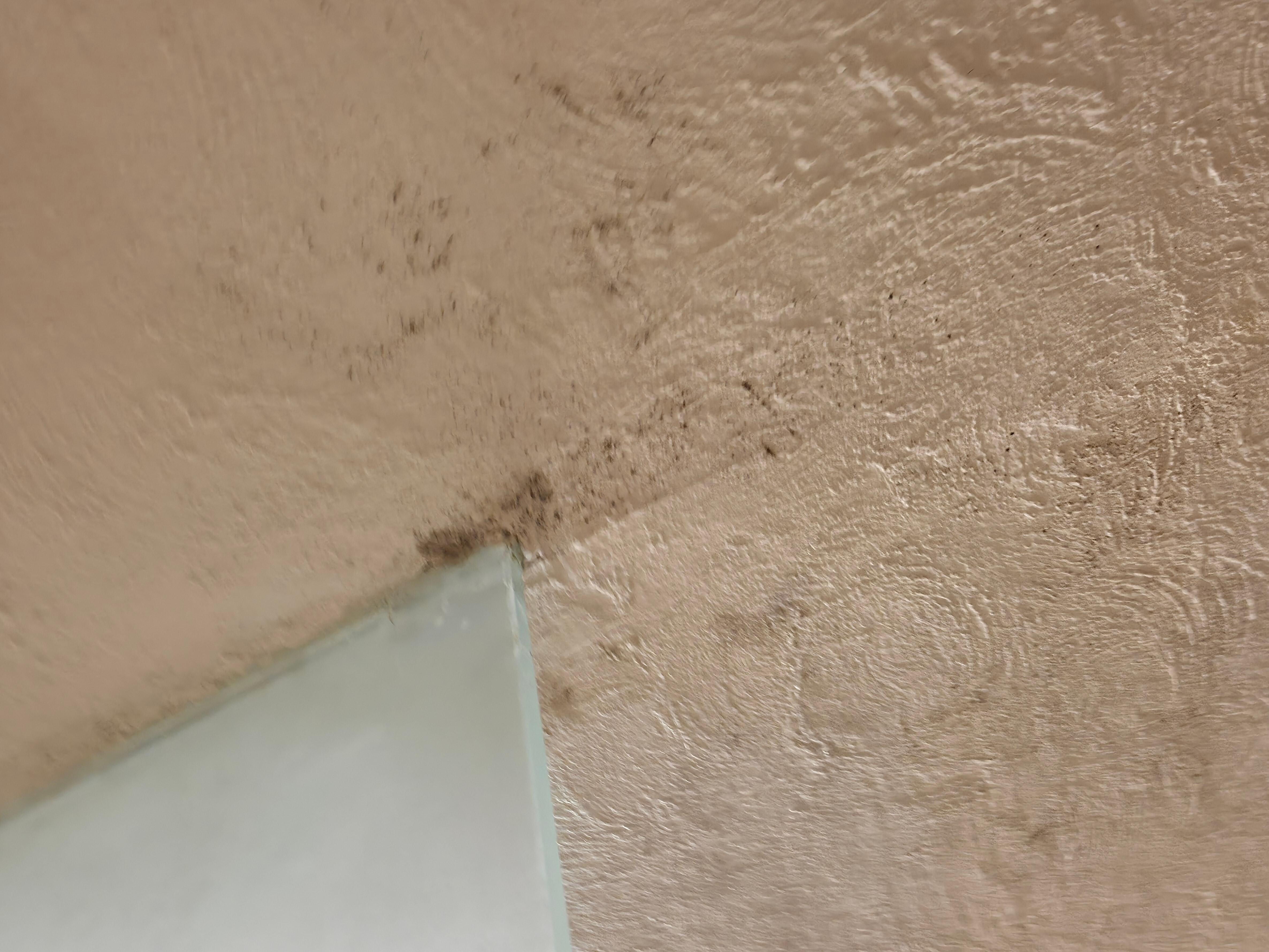 El moho y el olor en el baño terrible