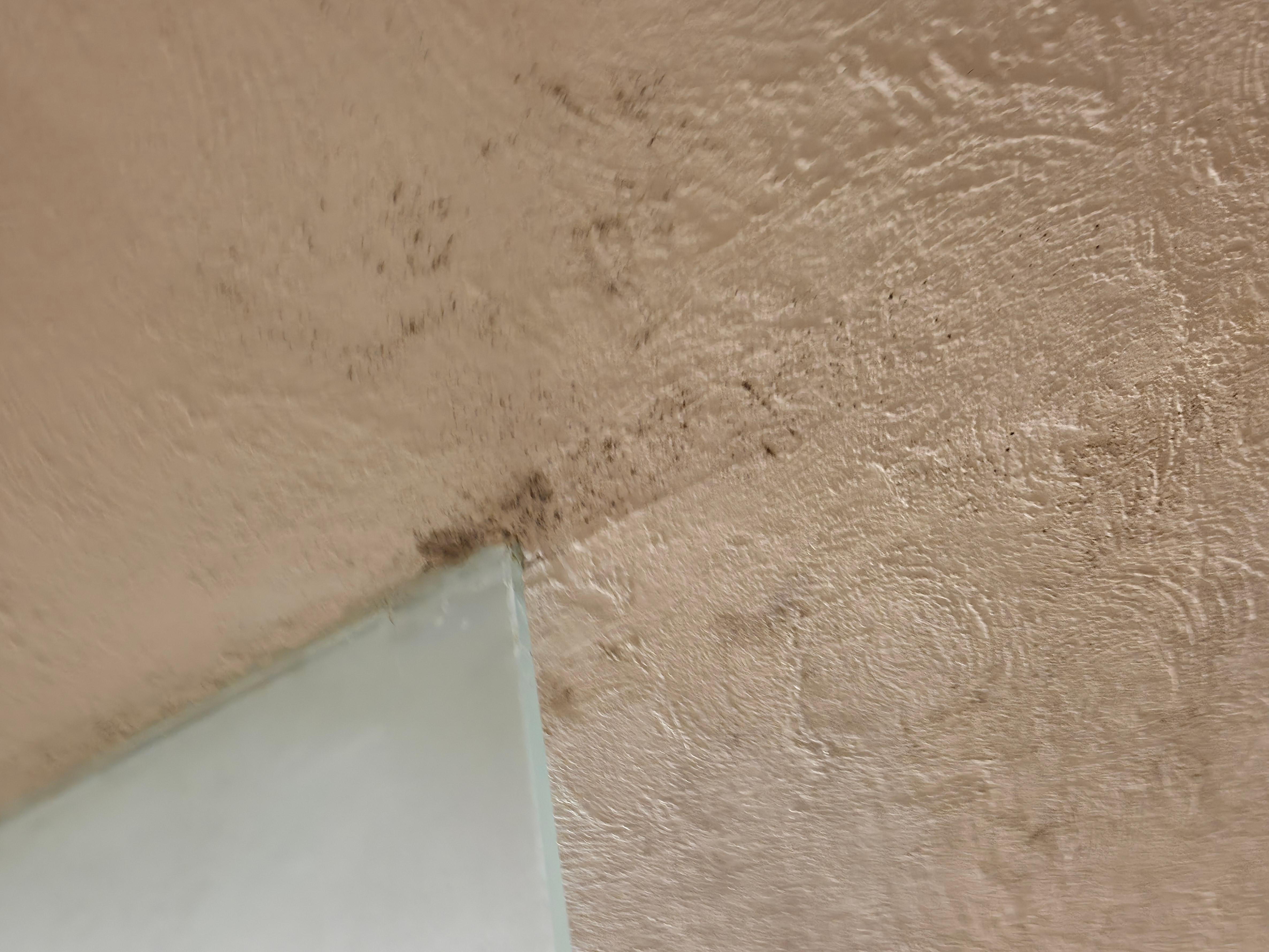 El moho y el olor en el baño terrible