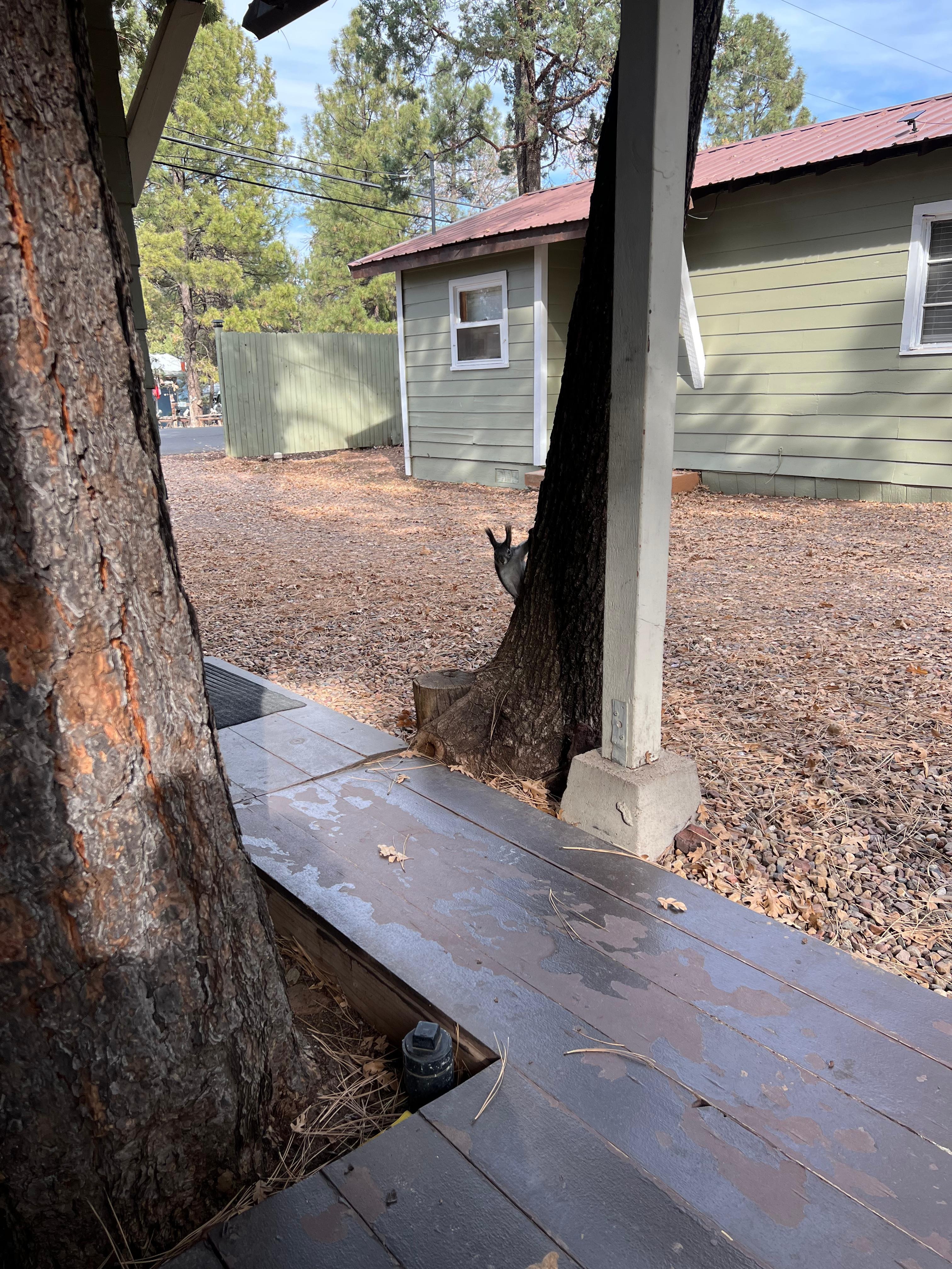  Bold little guy, tried to steal my wife’s beer!
