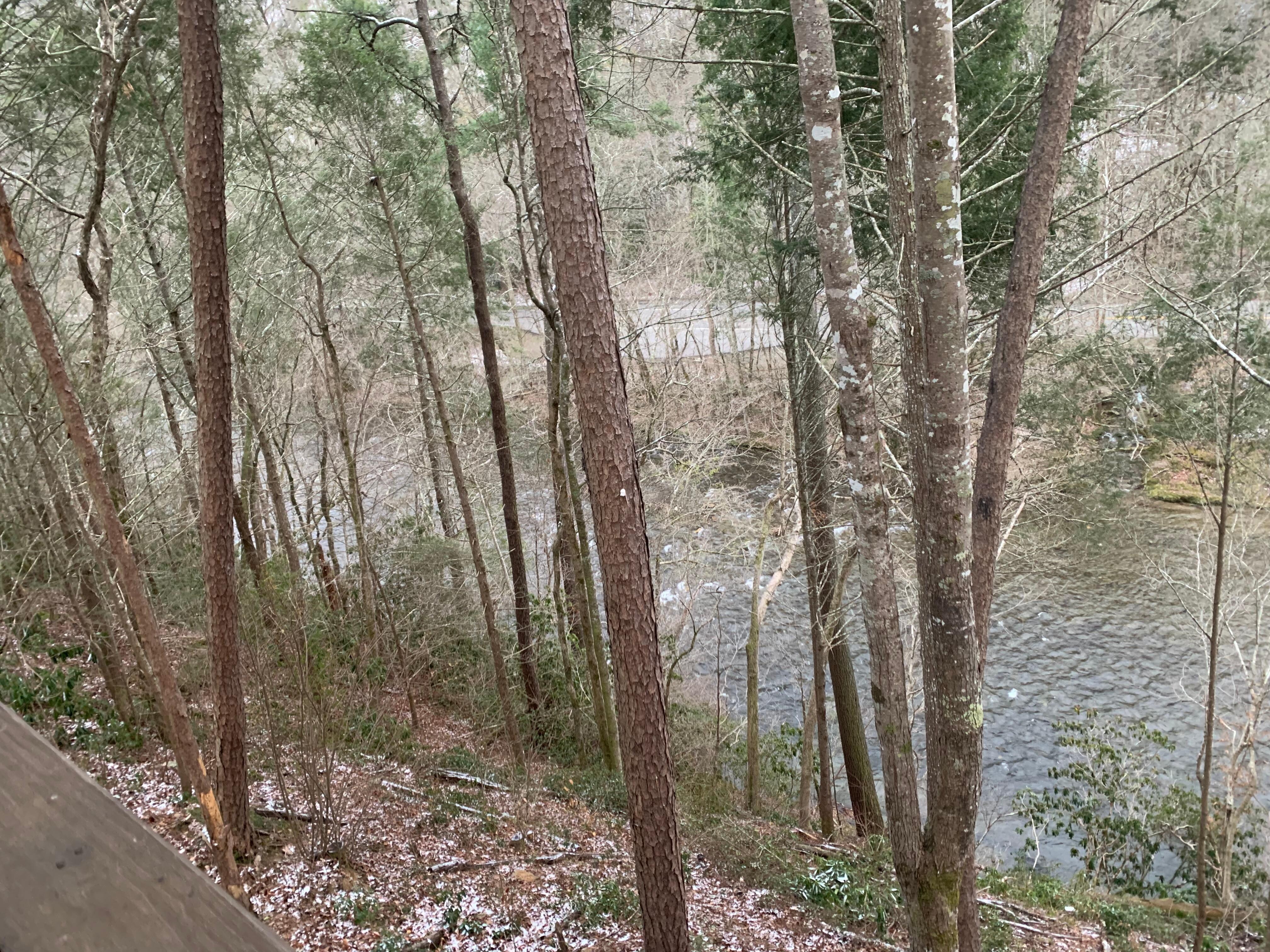 The Little River below our cabin!  Love to hear it while on the porch. 