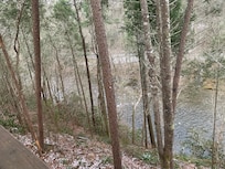 The Little River below our cabin! Love to hear it while on the porch.