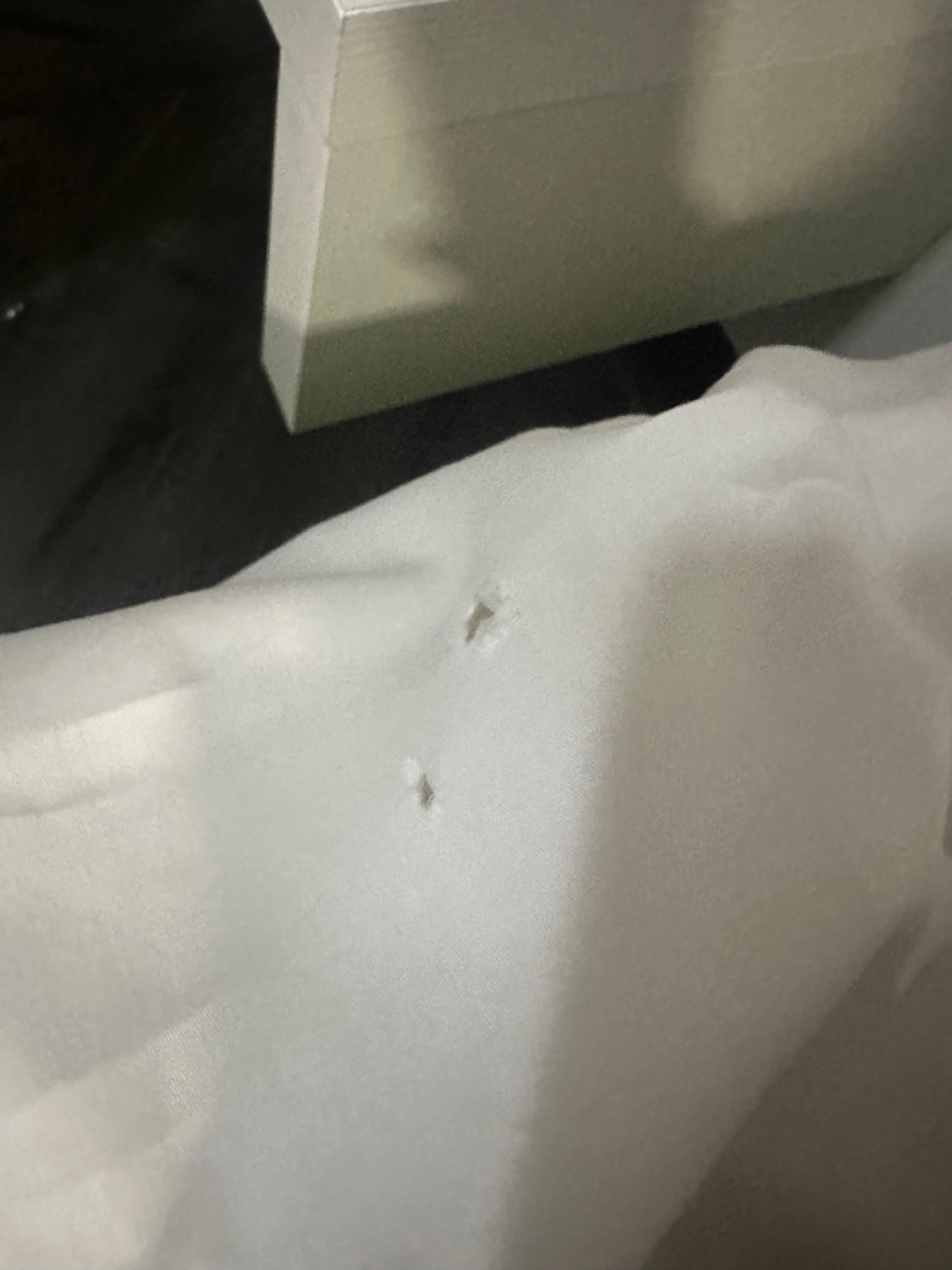 The sheets