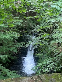 Waterfalls within 5 mins walk of the apartment