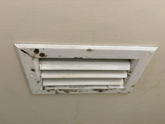 Mold in the Master bathroom vent