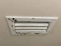 Mold in the Master bathroom vent